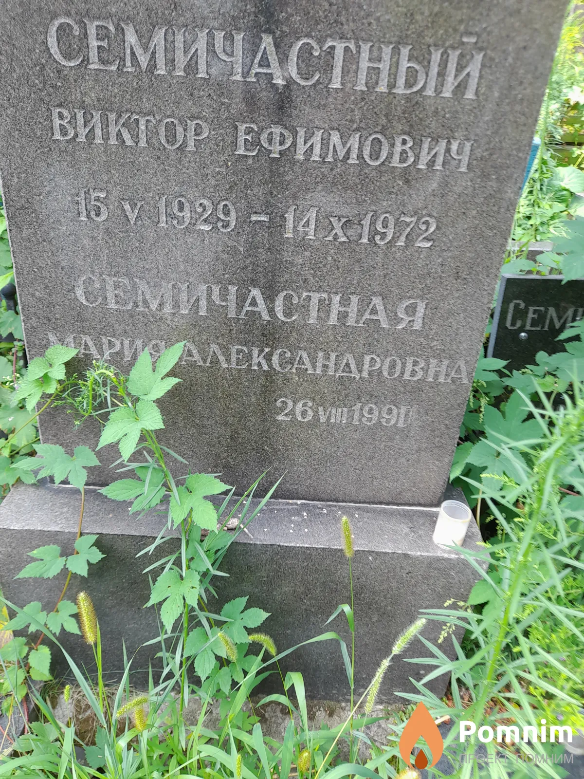 Семичастная Мария Александровна
