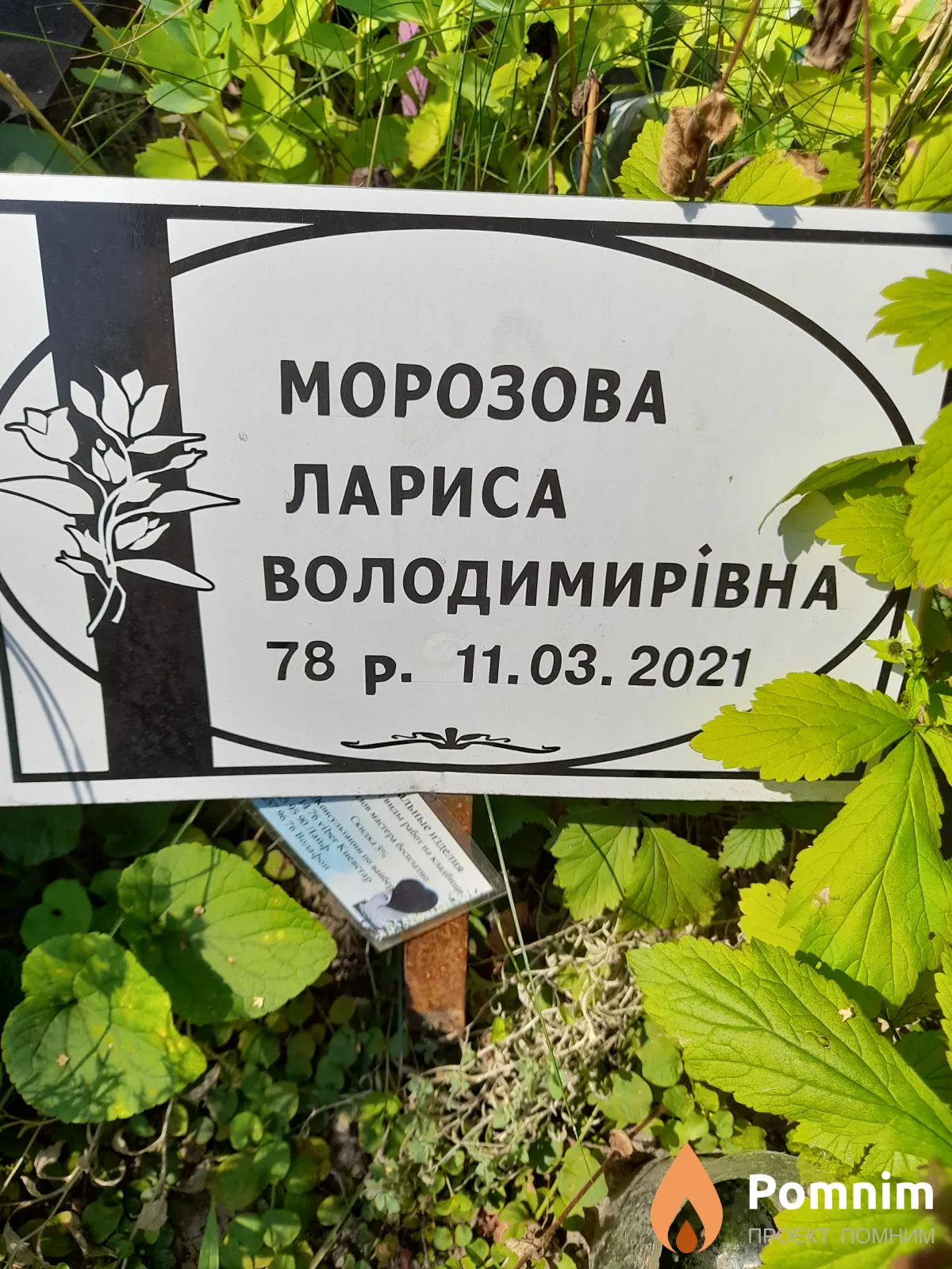 Морозова Лариса Владимировна