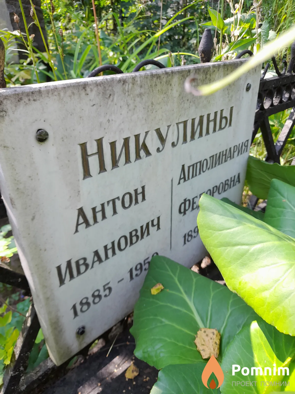 Никулин Антон Иванович