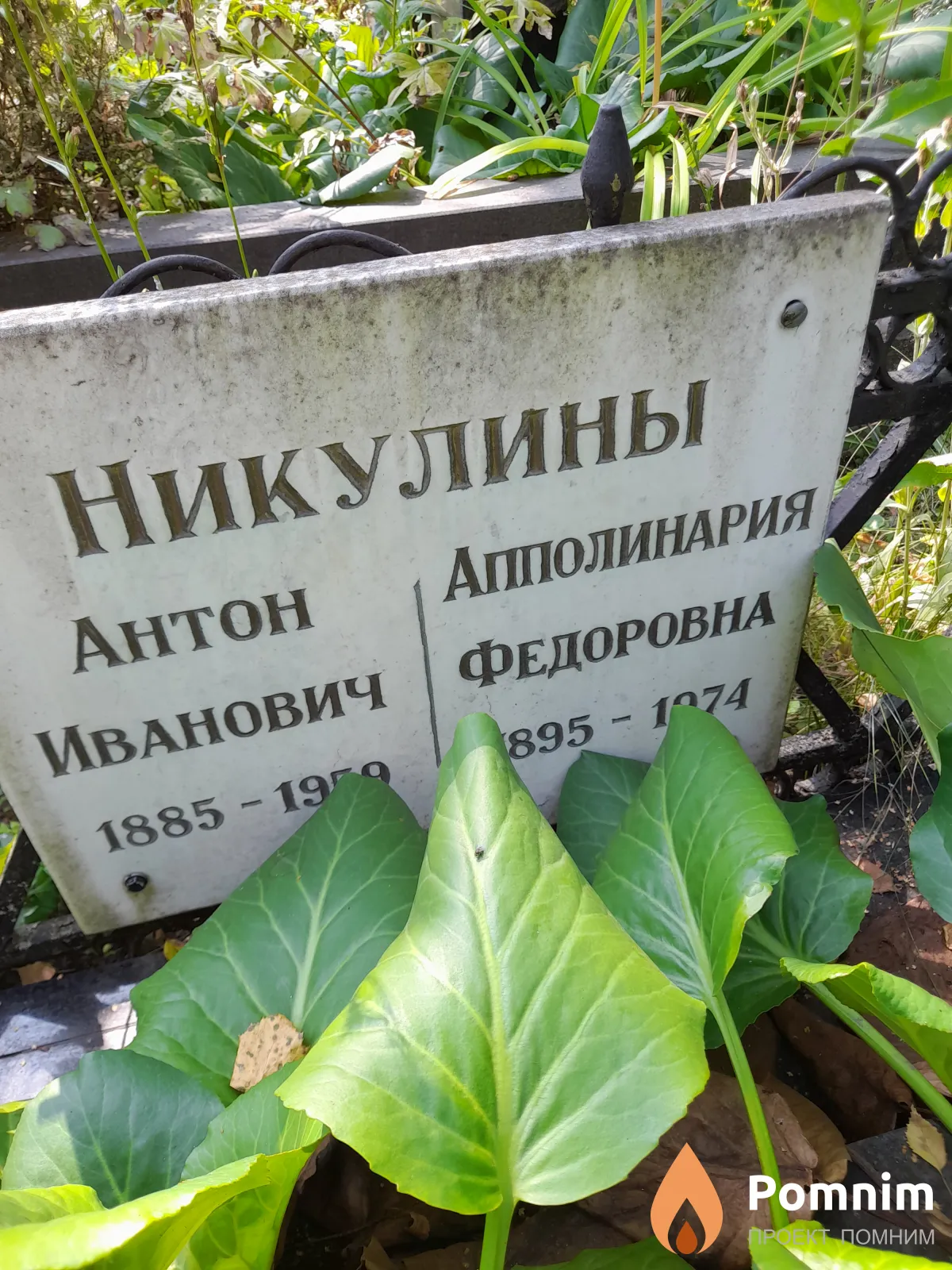 Никулина Апполинария Фёдоровна