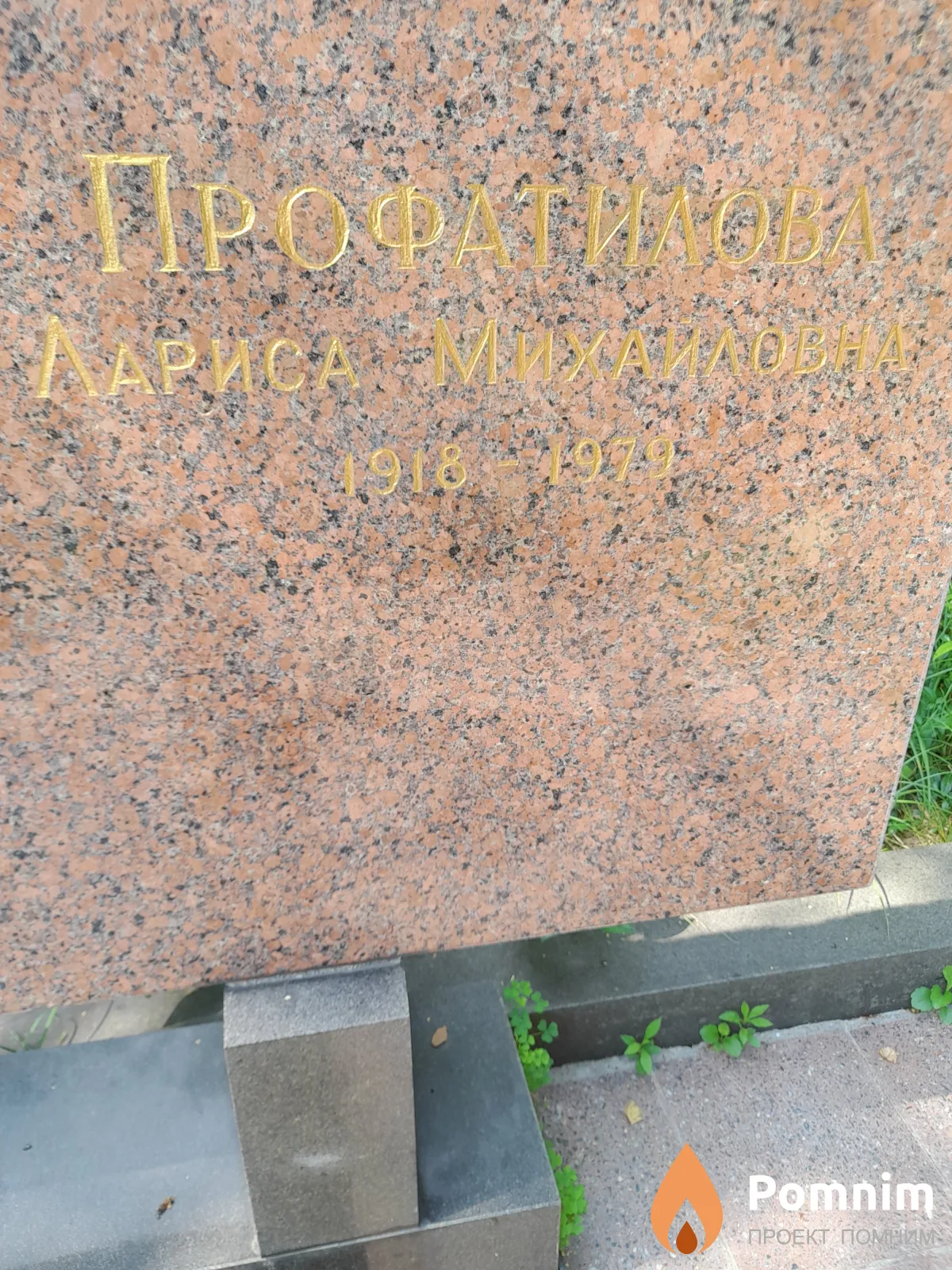 Профатилова Лариса Михайловна