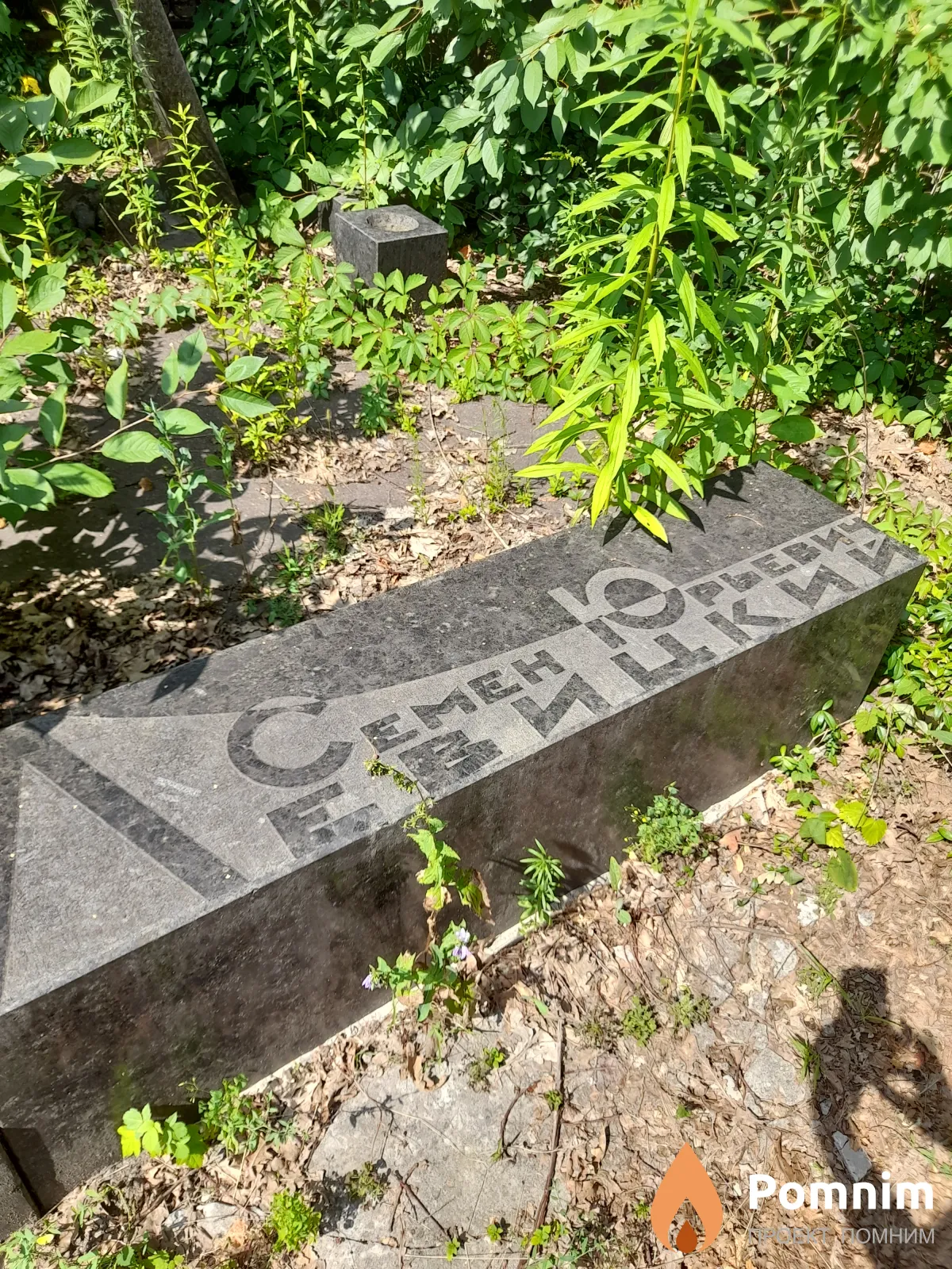 Левицкий Семен Юрьевич
