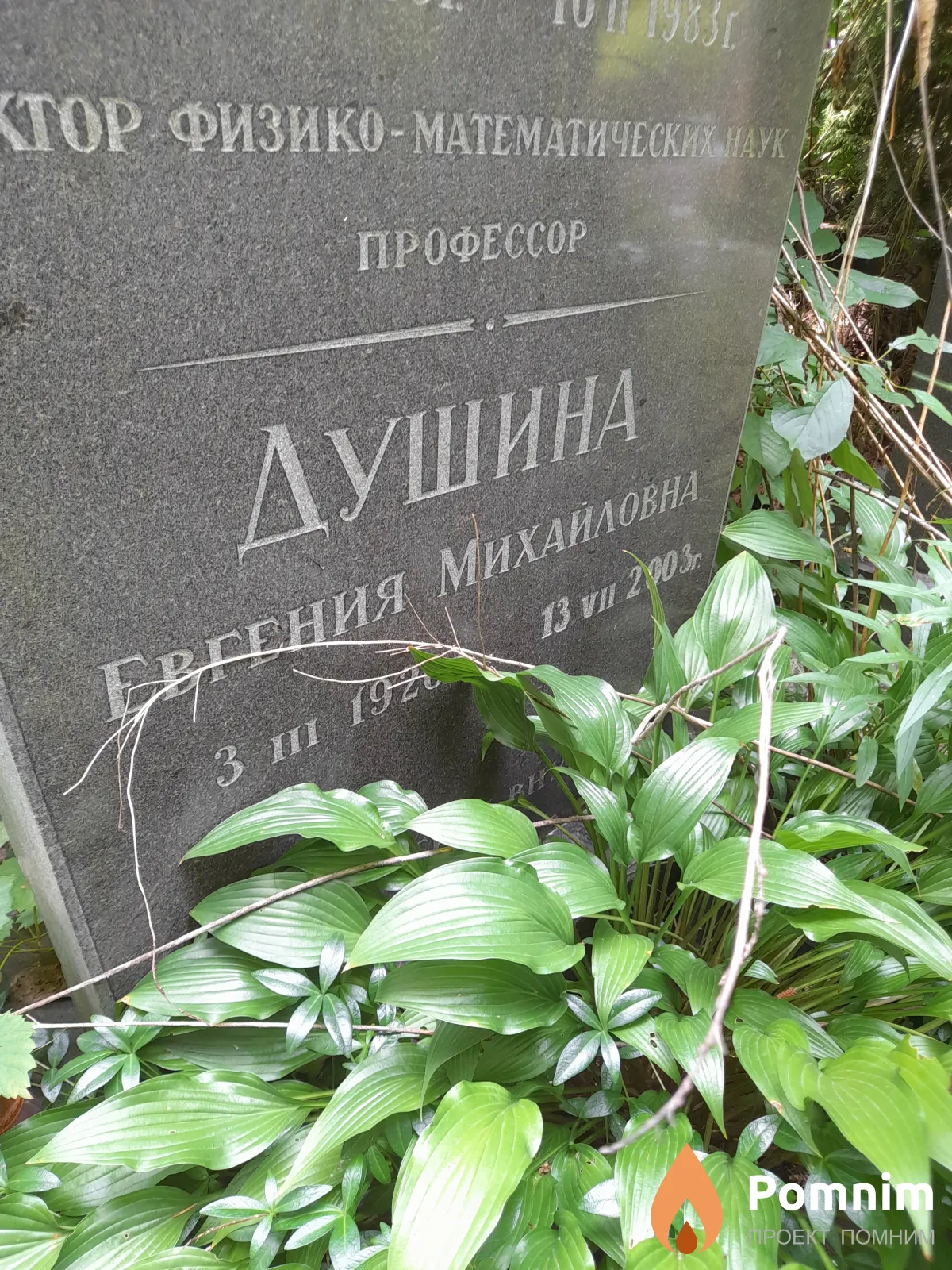 Душина Евгения Михайловна