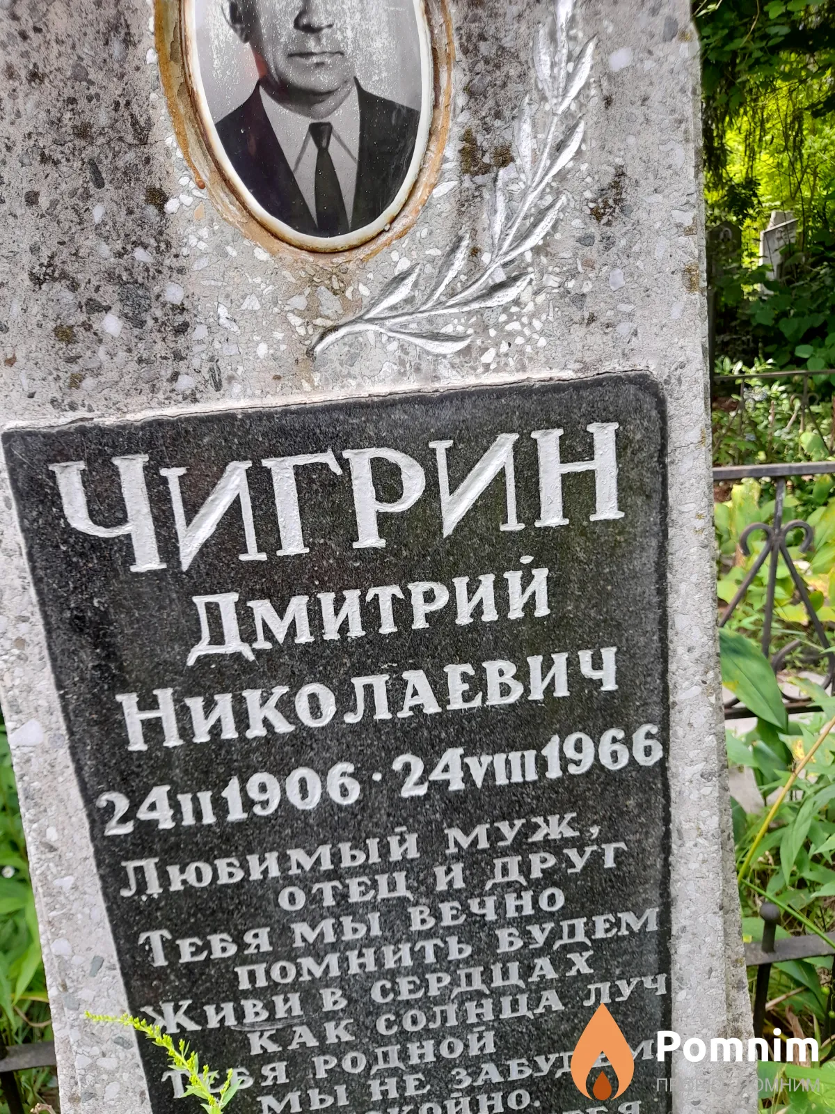 Чигрин Дмитрий Николаевич