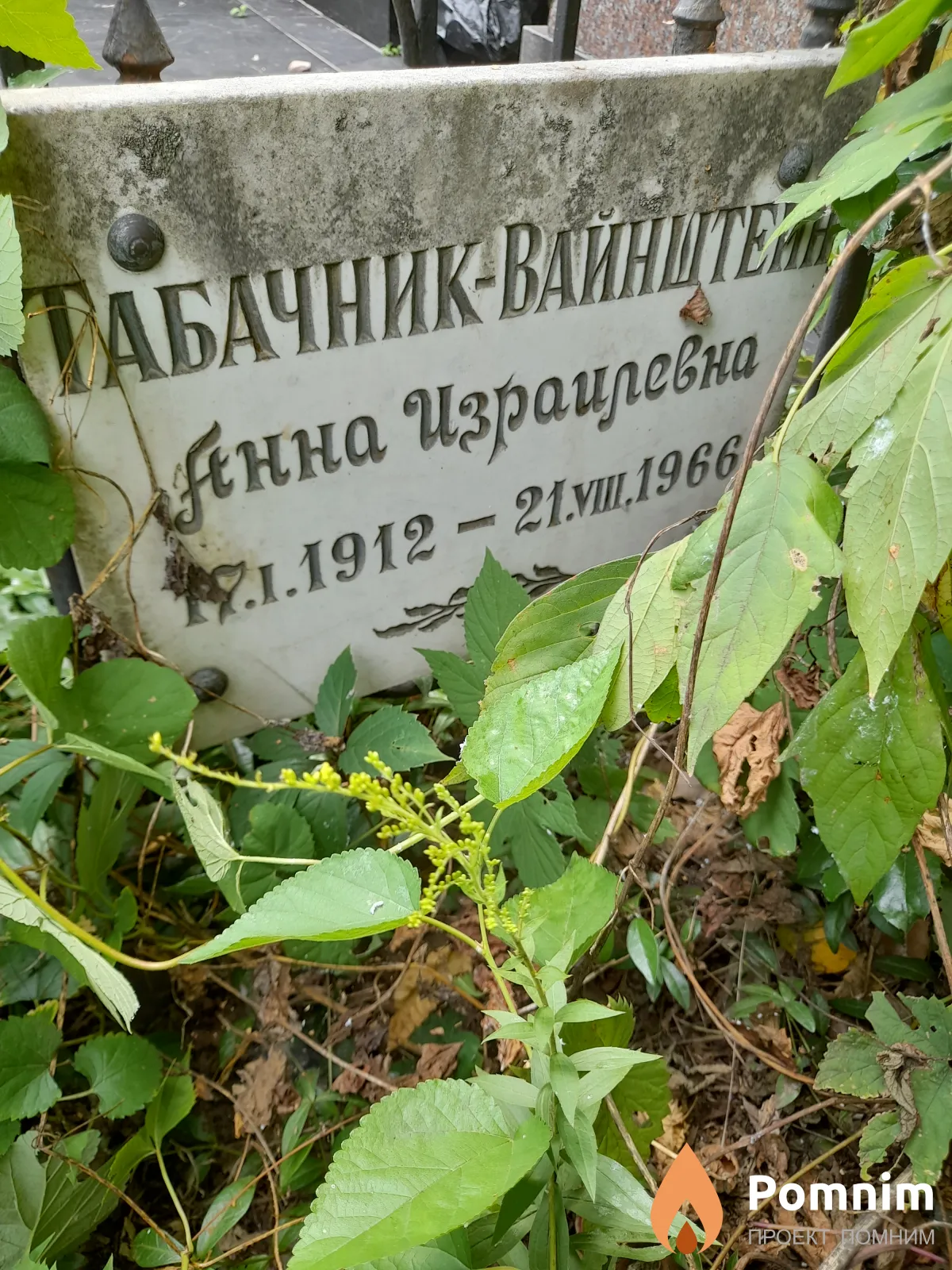 Табачник Анна Израилевна