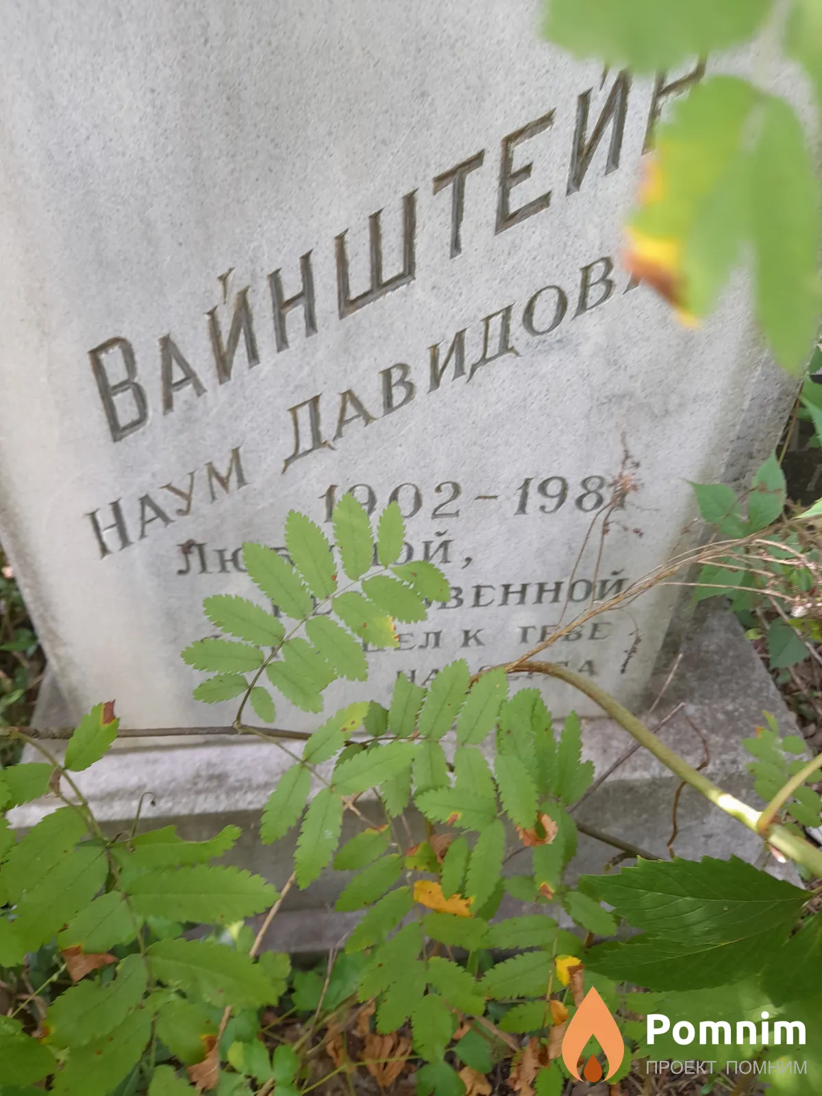 Вайнштей Наум Давидов