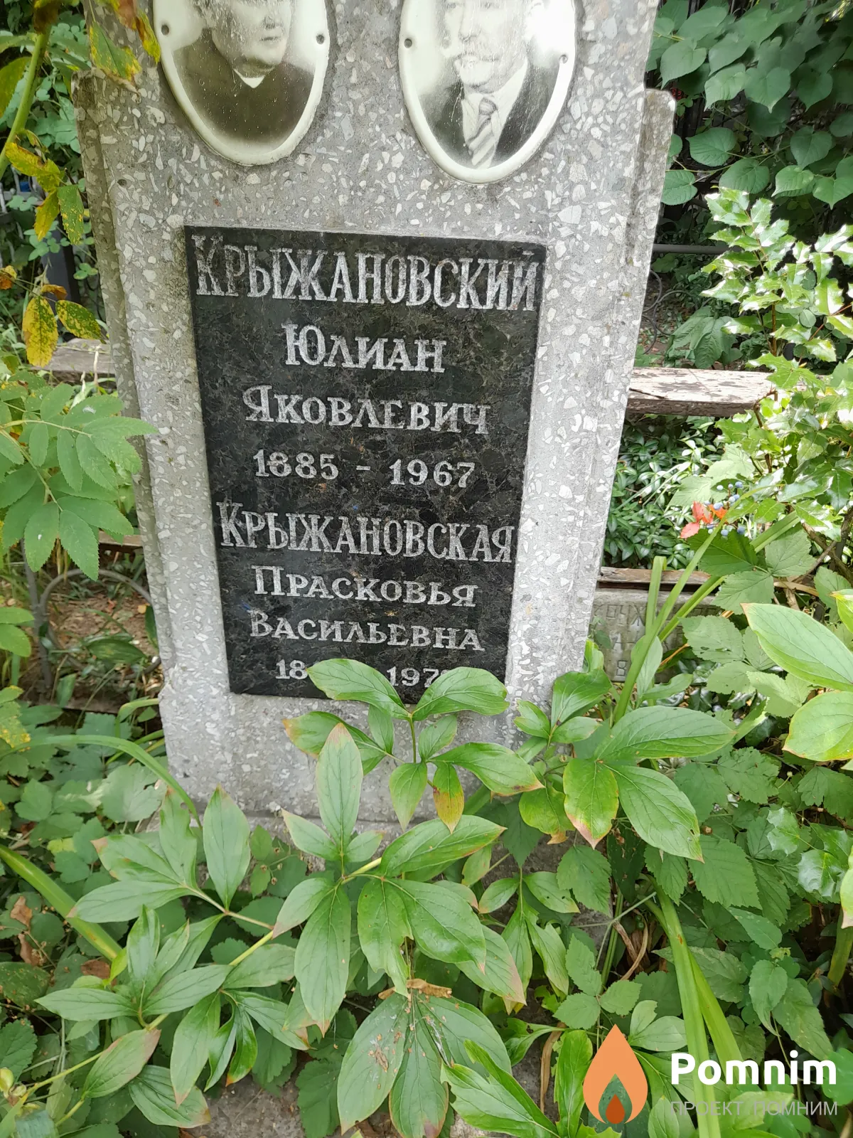Крыжановский Юлиан Яковлевич