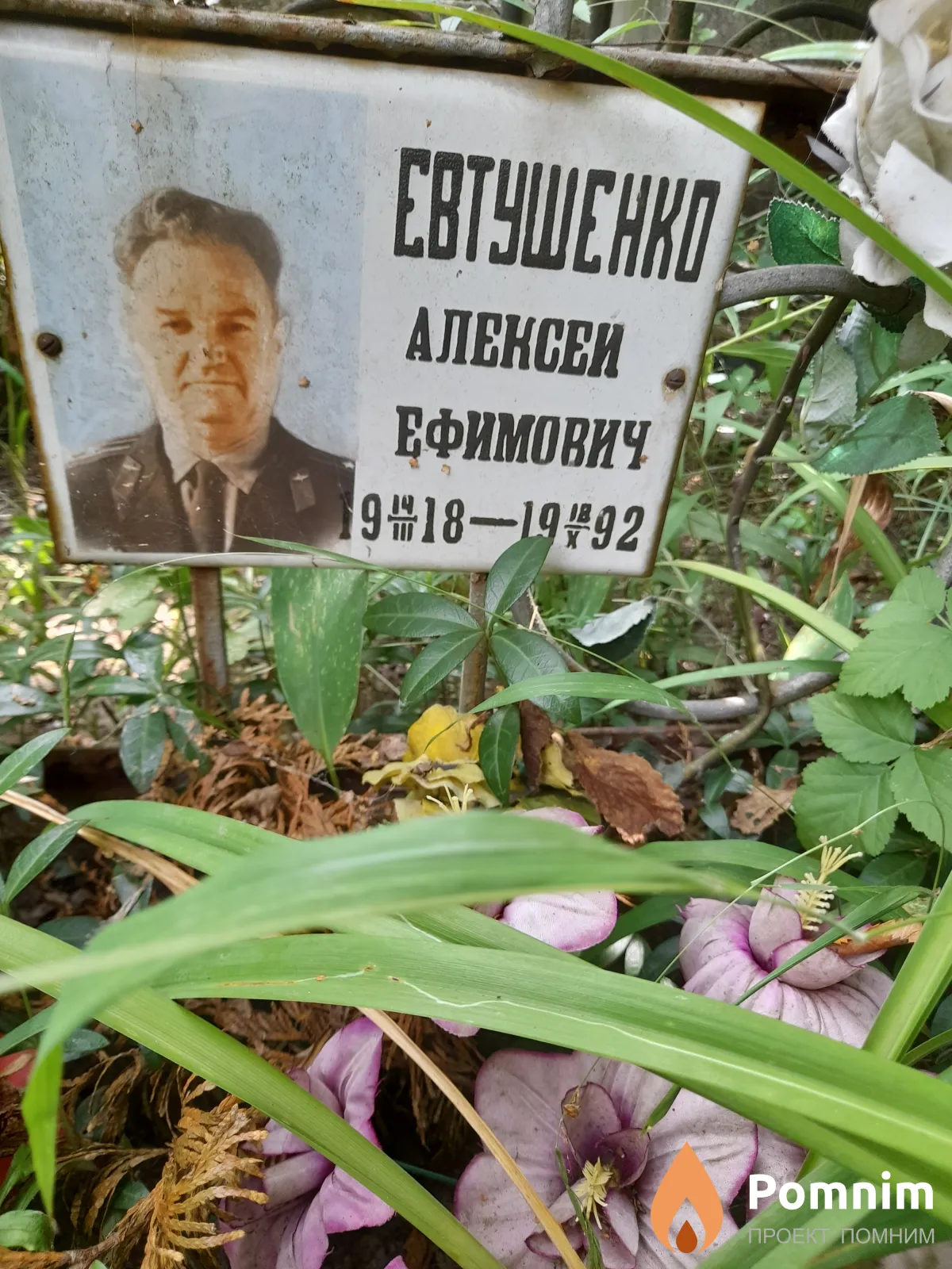 Евтушенко Алексей Ефимович