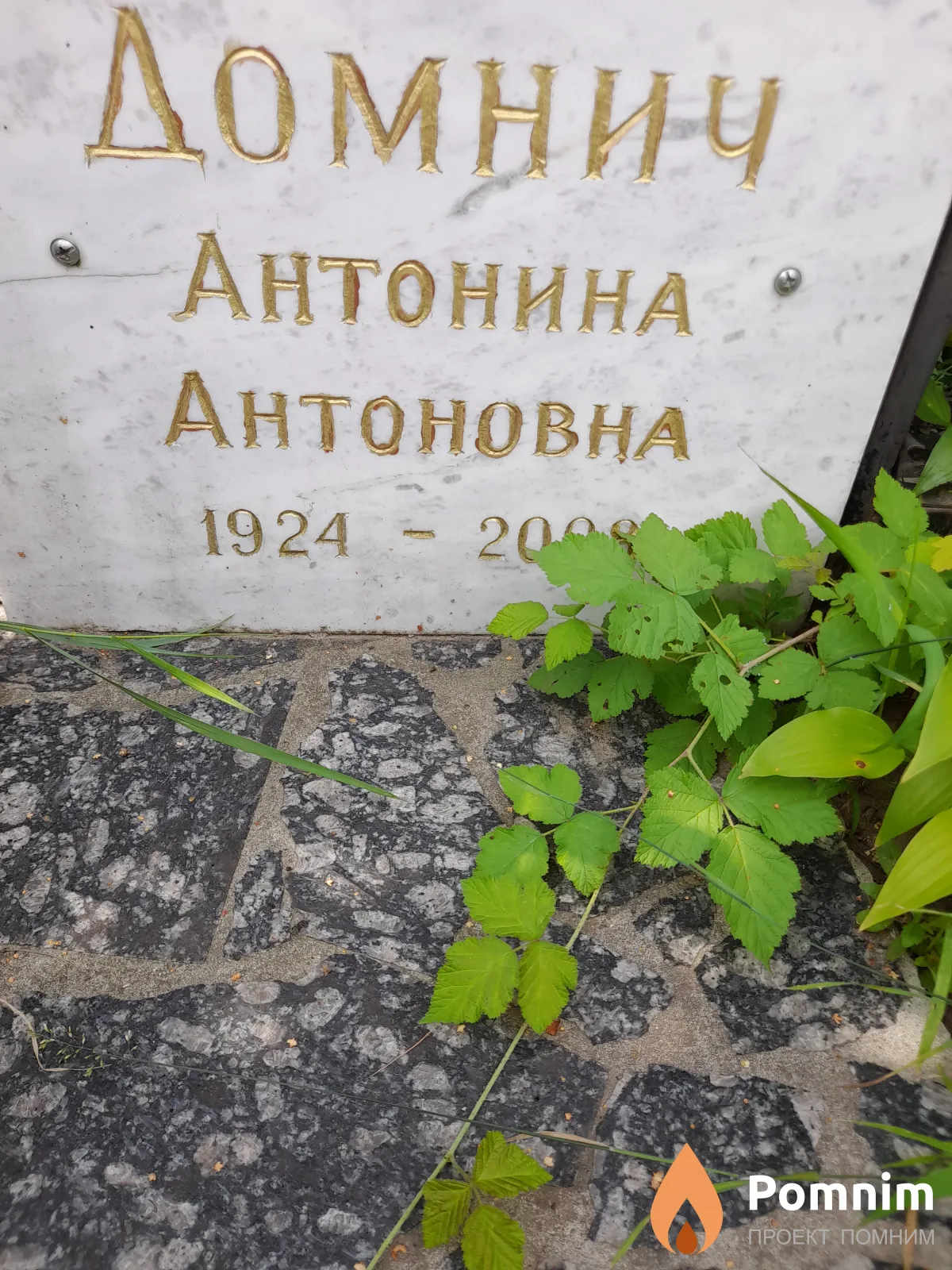Домнич Антонина Антоновңа