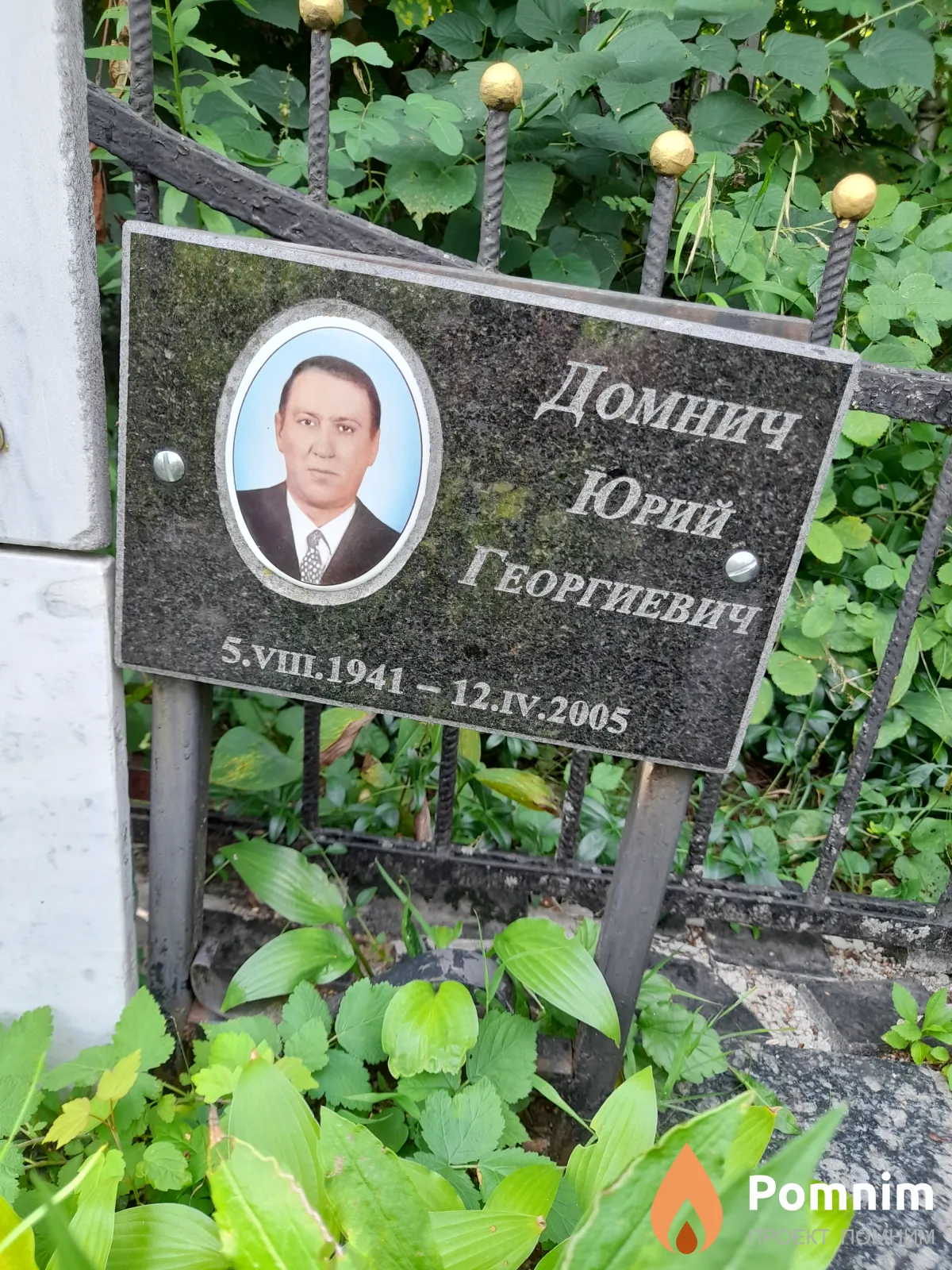 Домнич Юрий Георгиевич