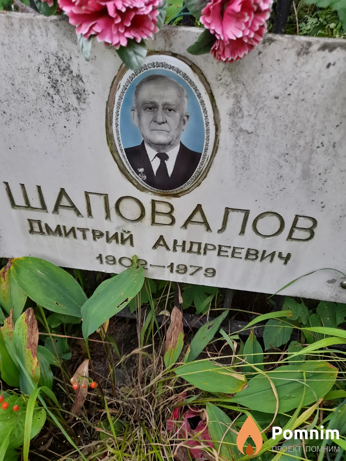 Шаповалов Дмитрий Андреевич
