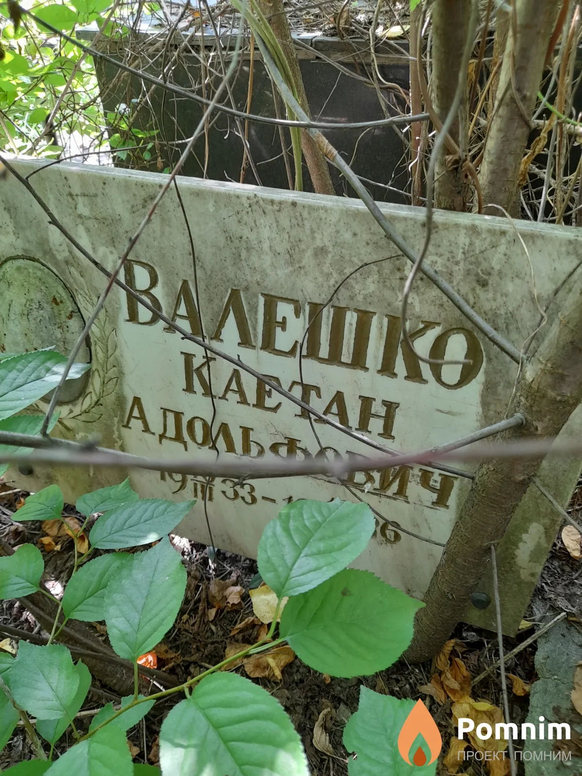 Валешко Каетан Адольфович