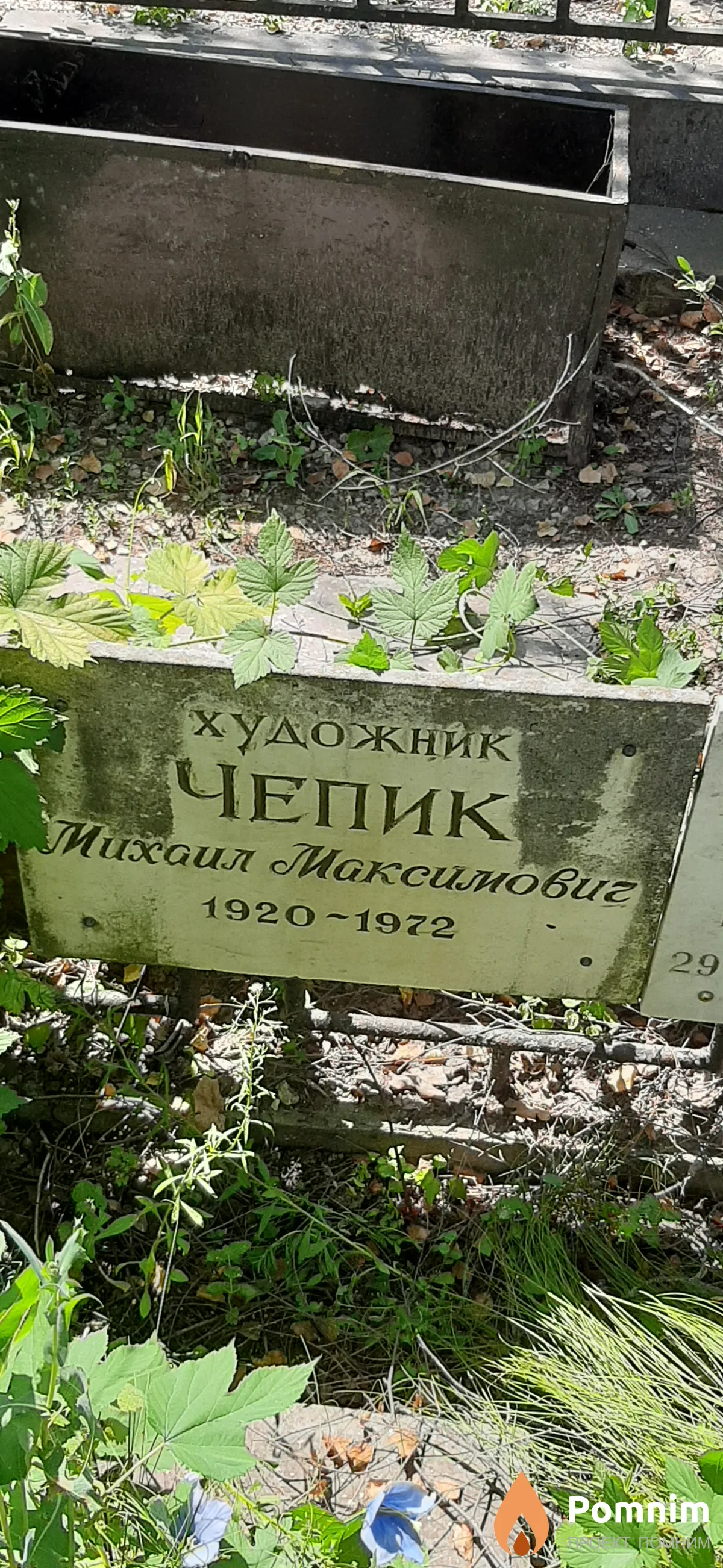 Чепик Михаил Максимових