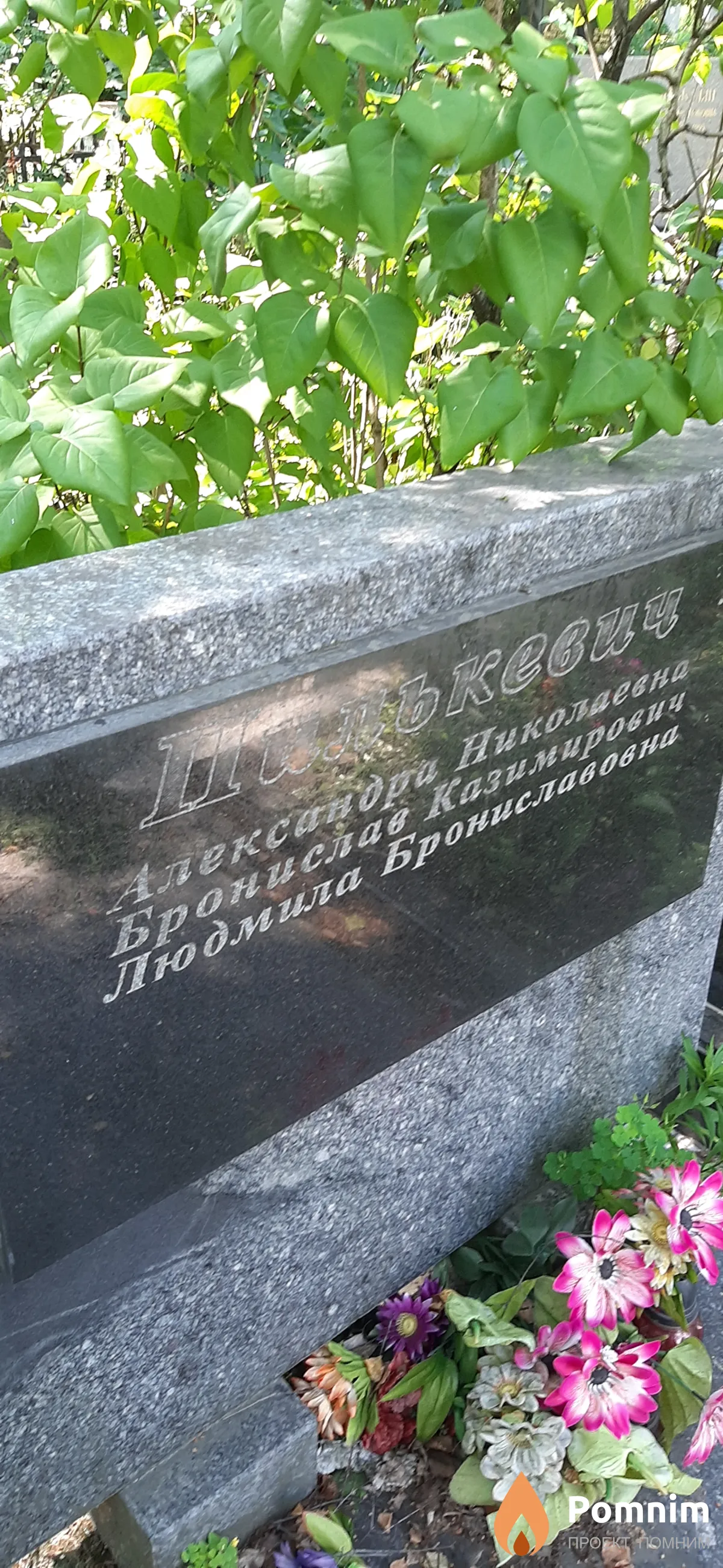 Пилькевич Александра Николаевна