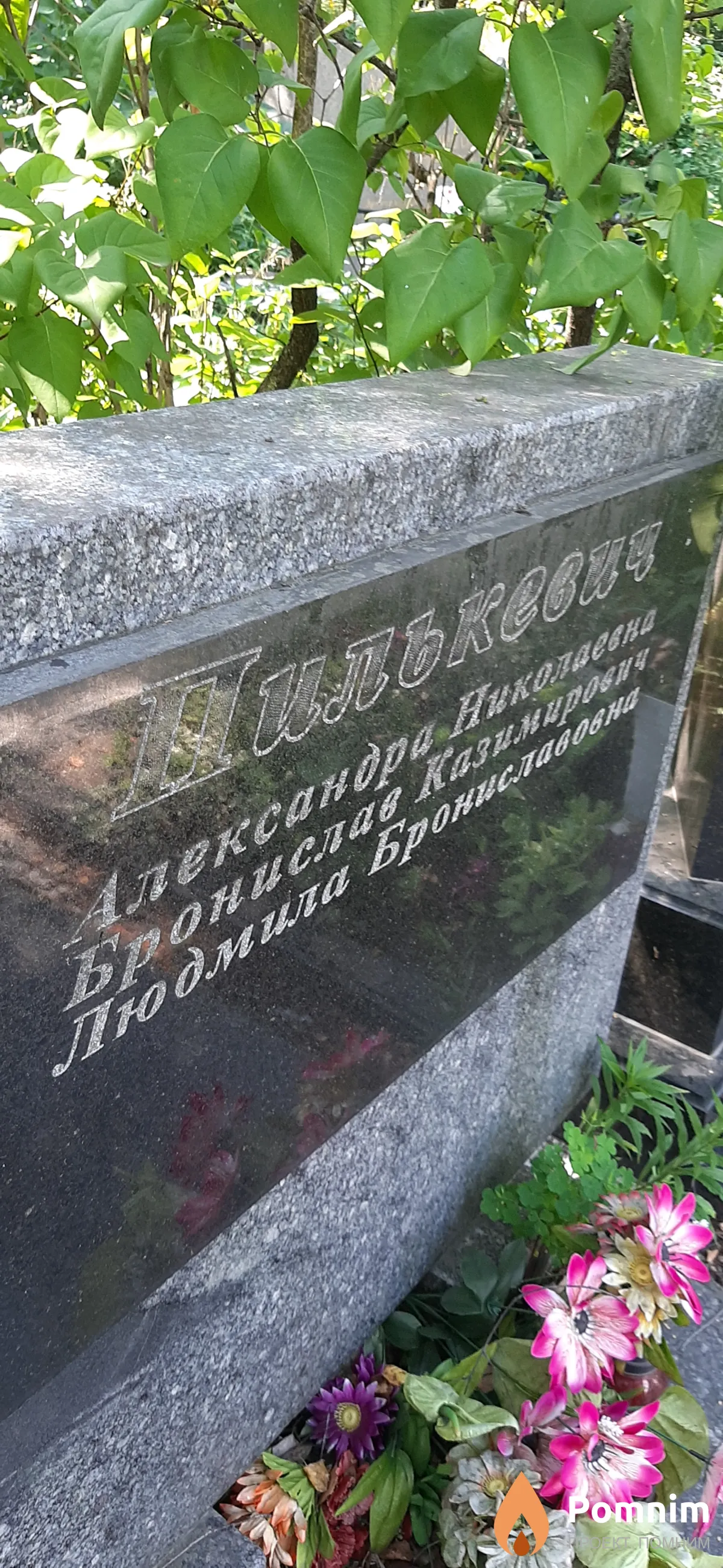 Пилькевич Людмила Брониславовна