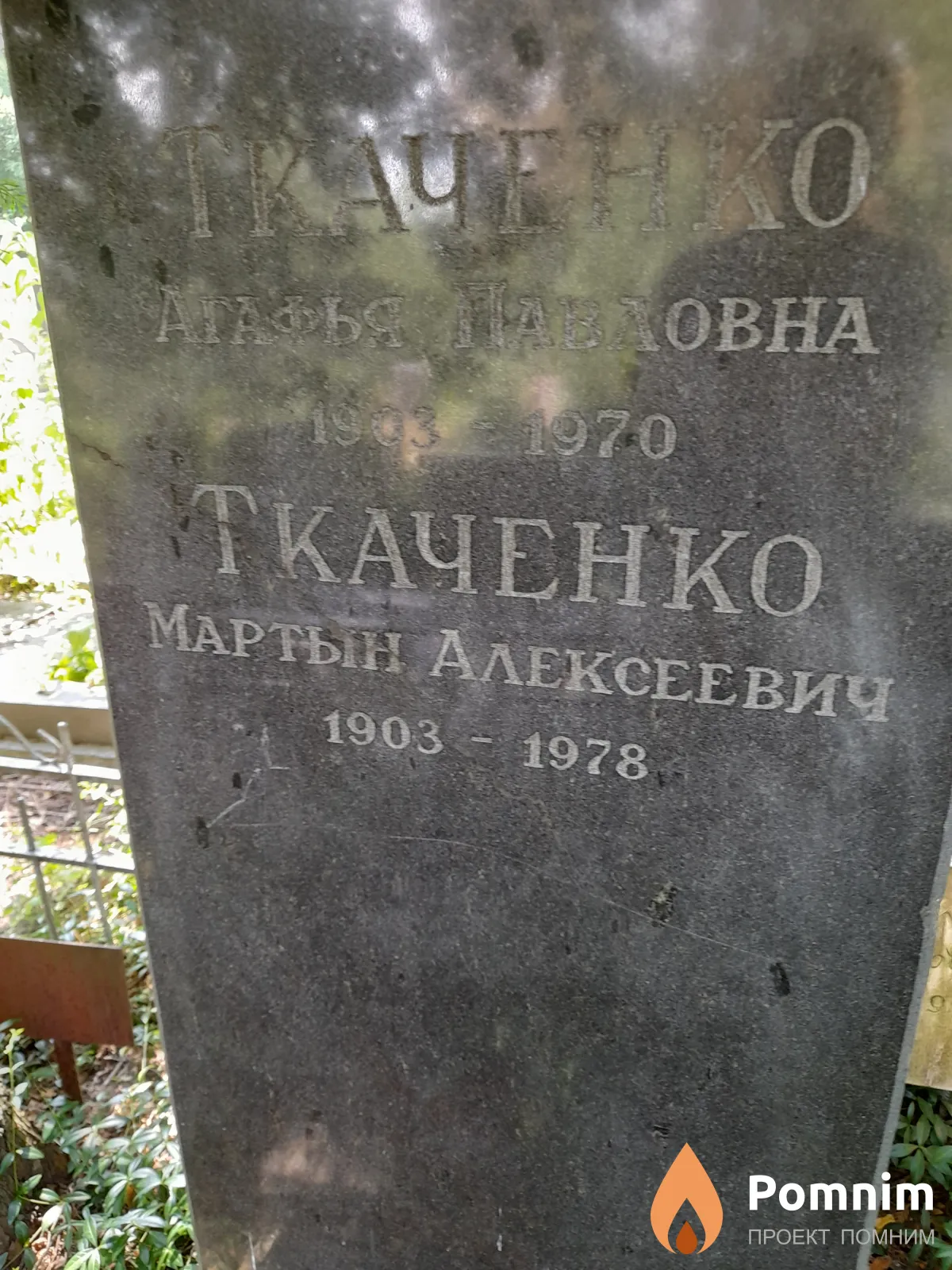 Ткаченко Мартын Алексеевич