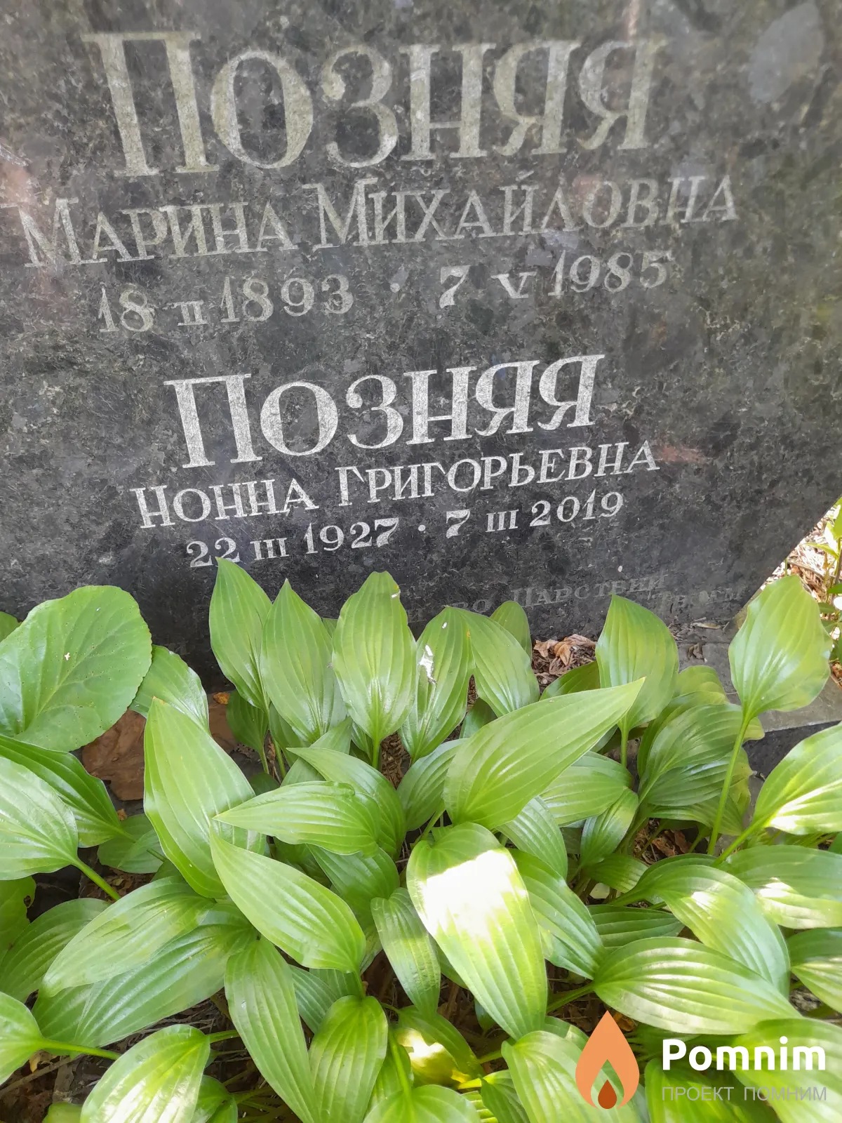 Позняя Марина Михайловна