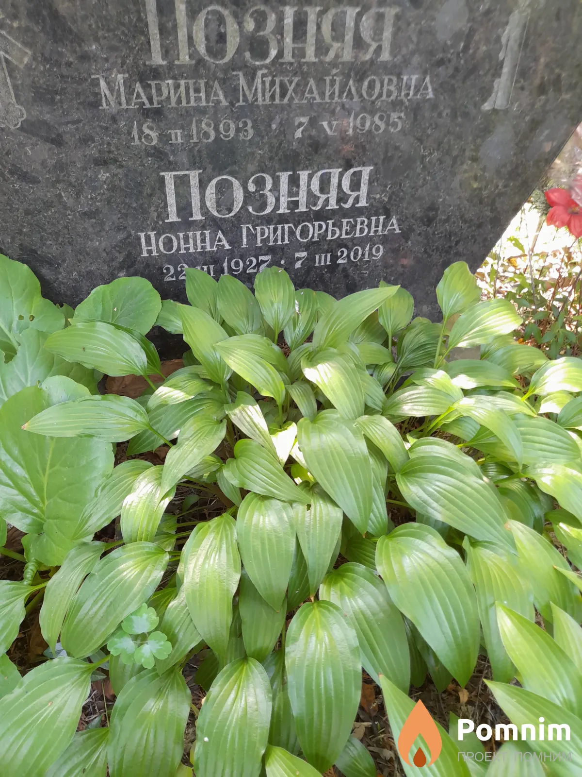 Позняя Нонна Григорьевна