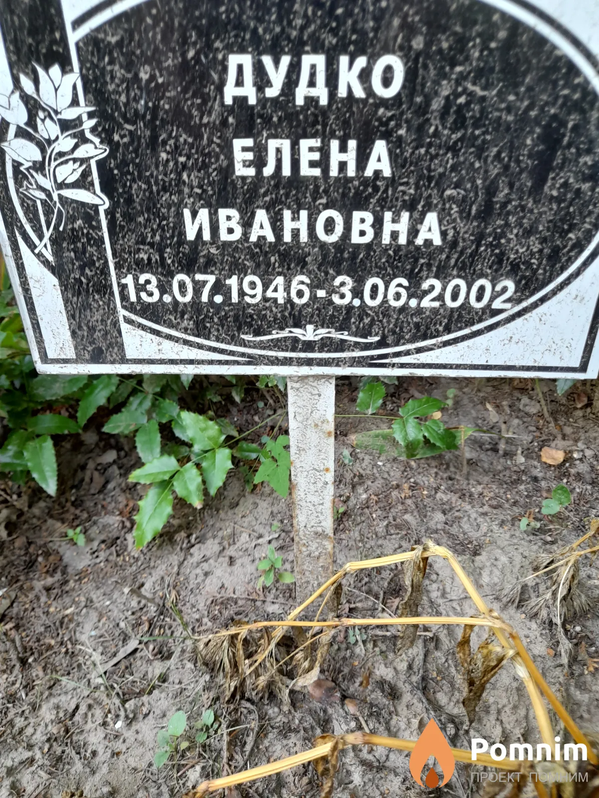 Дудко Елена Ивановна