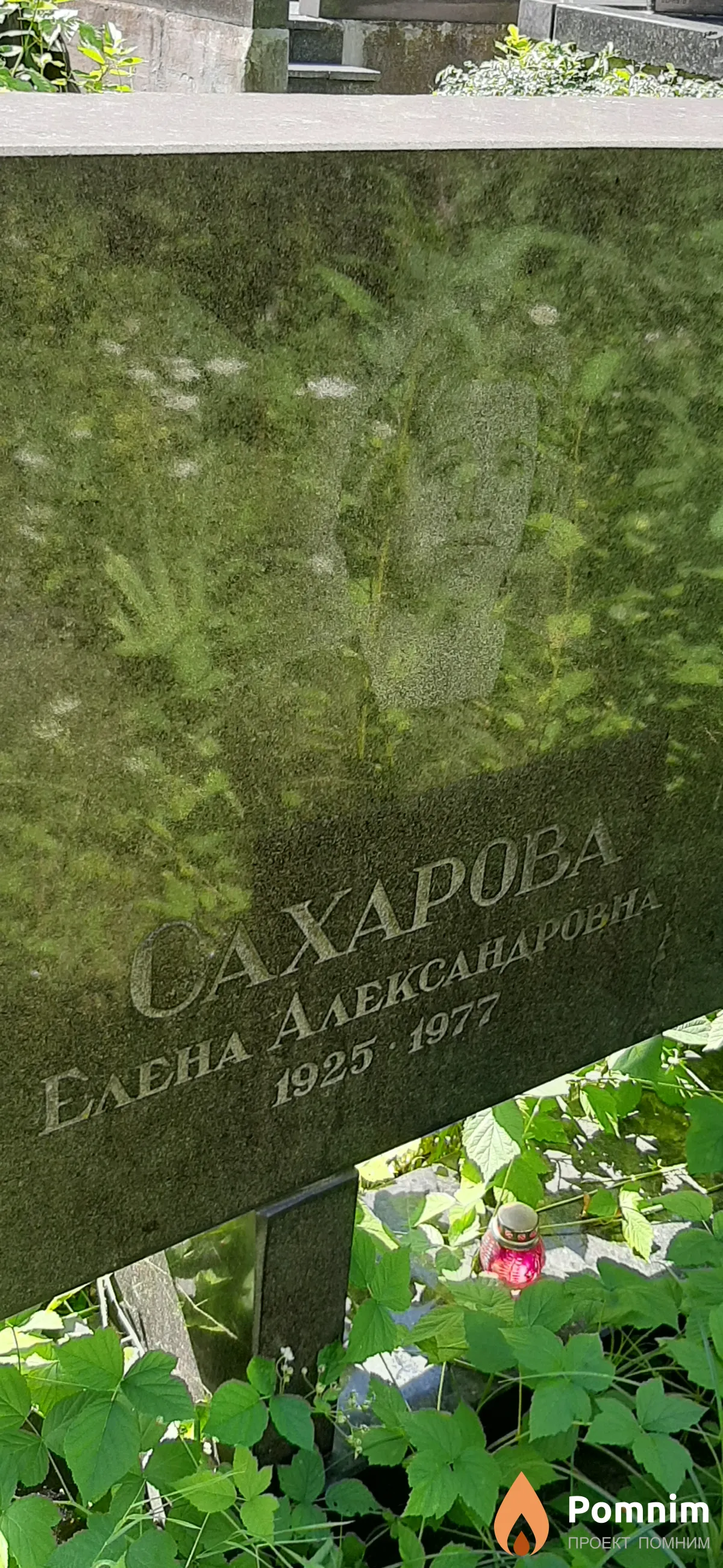 Сахарова Елена Александровна