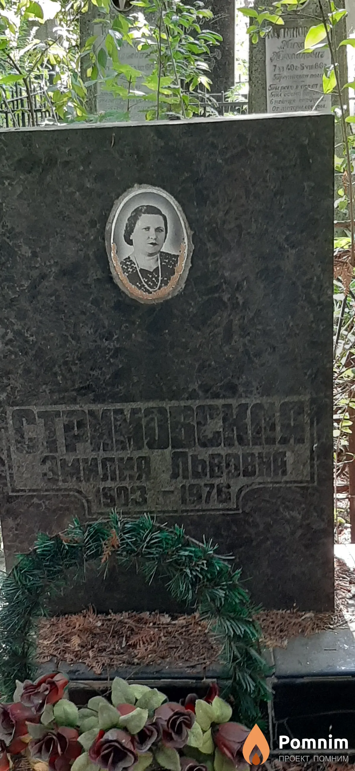 Стримовская Эмилия Львовна
