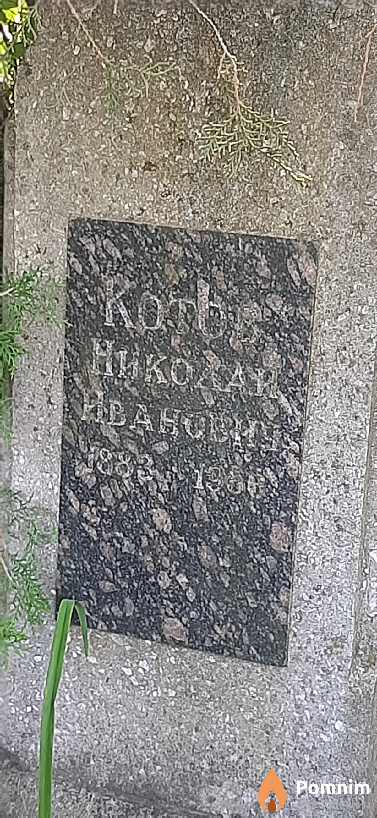 Котов Николай Иванович