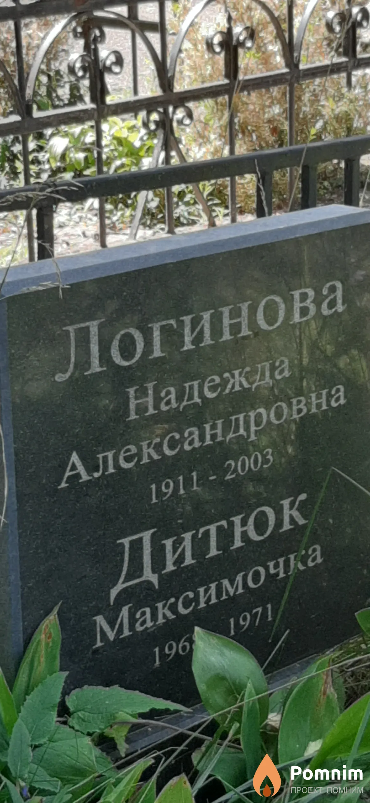 Логинова Надежда Александровна