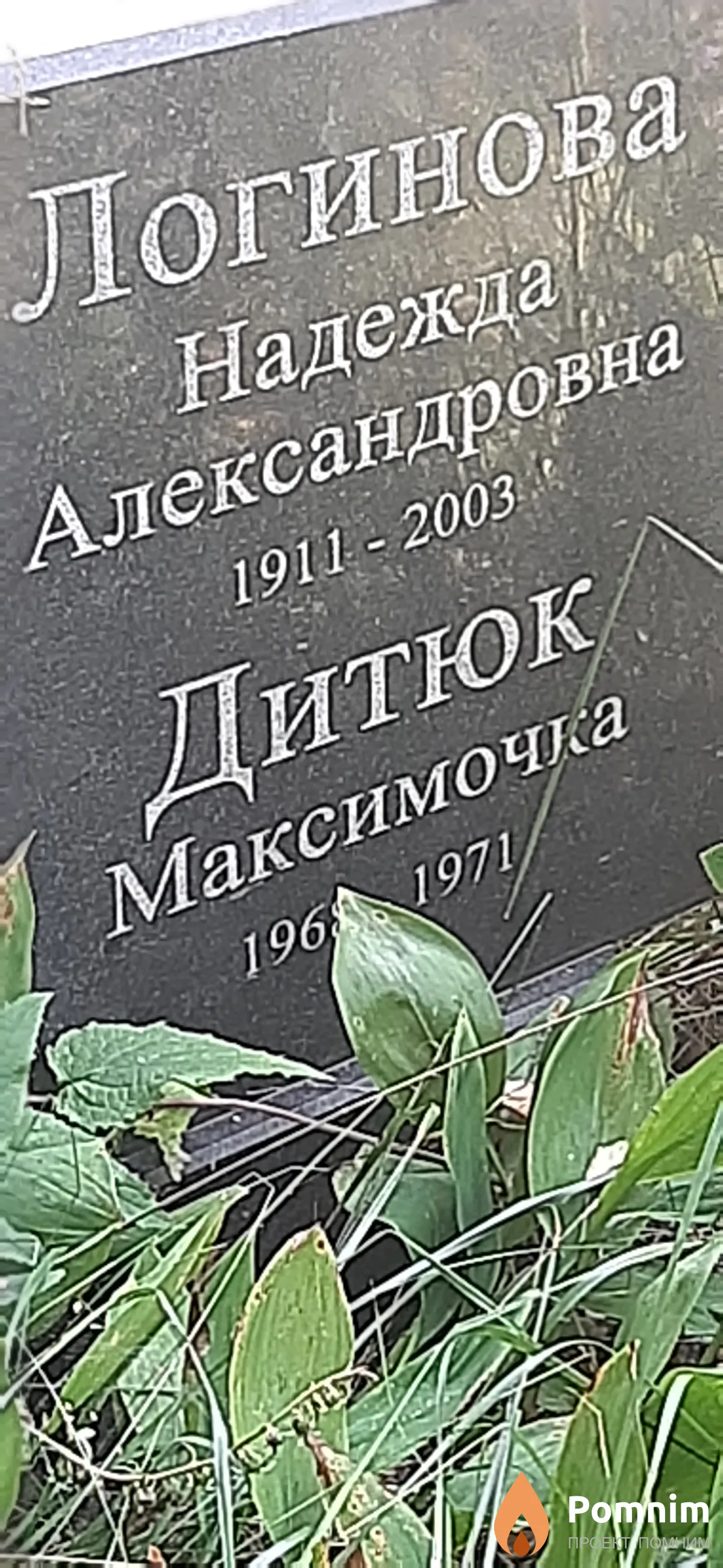 Дитюк Надежда Максимочка