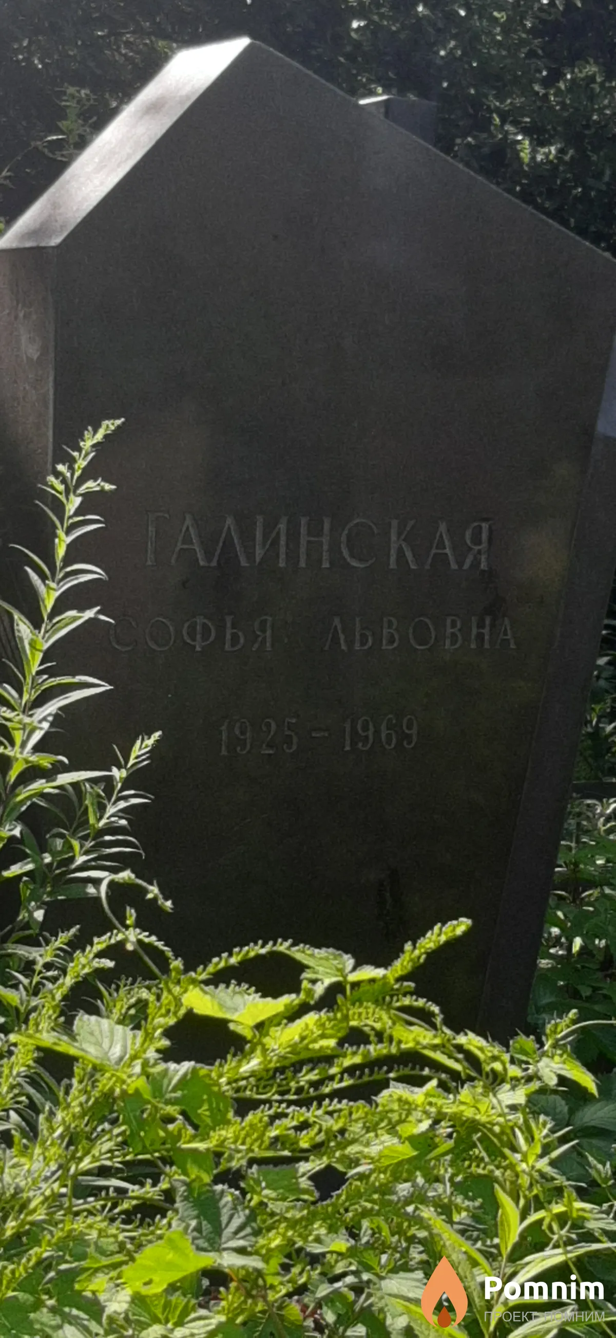 Галинская Софья Львовна
