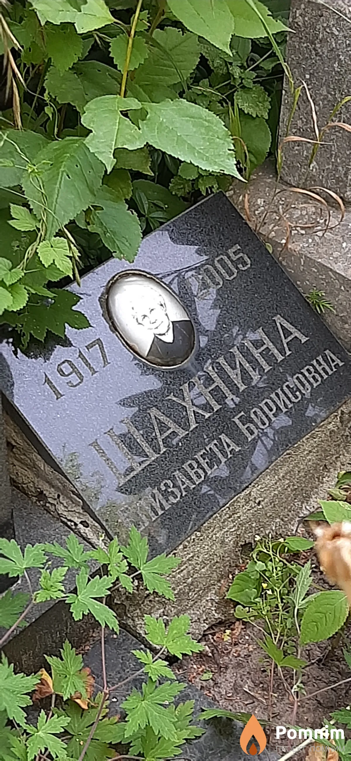 Шахнина Елизавета Борисовна
