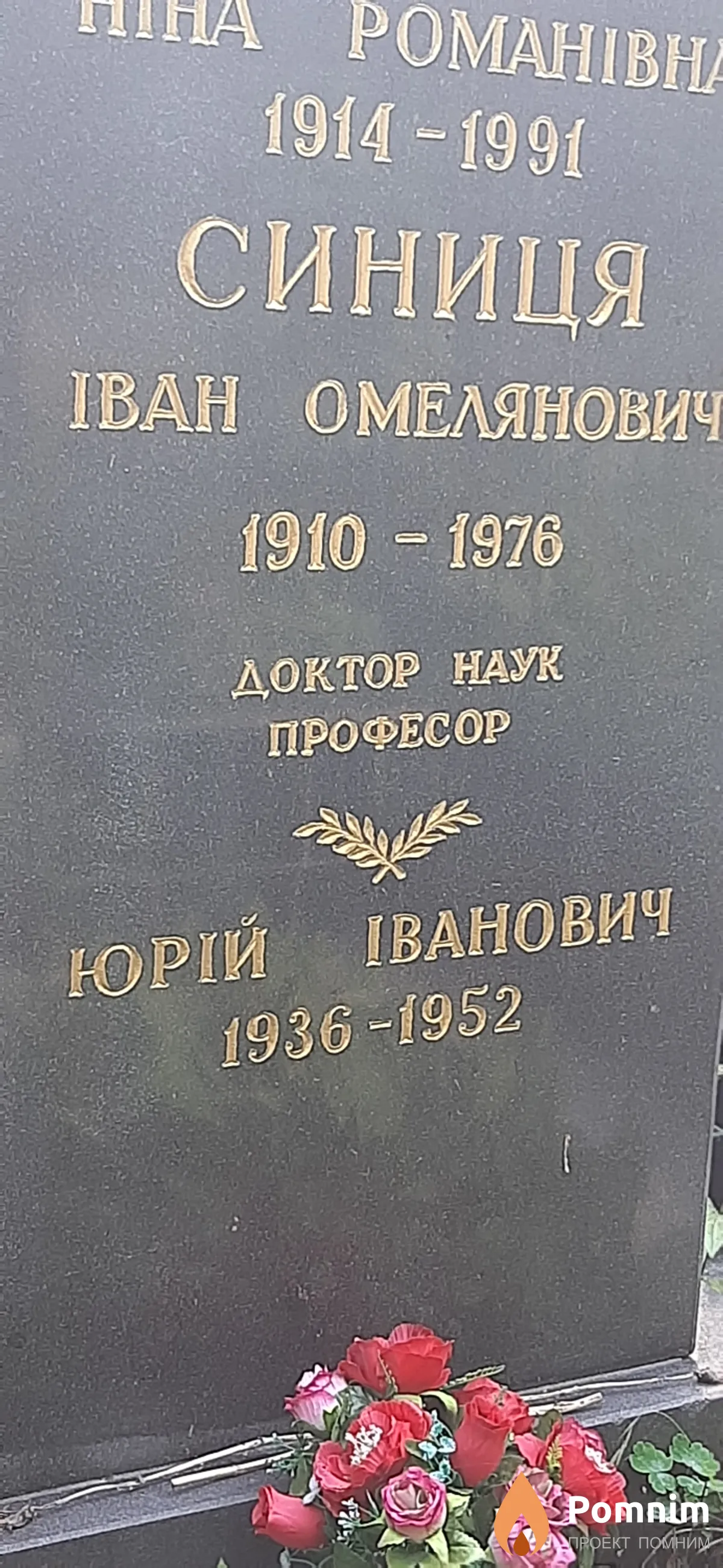 Синиця Юрий Иванович