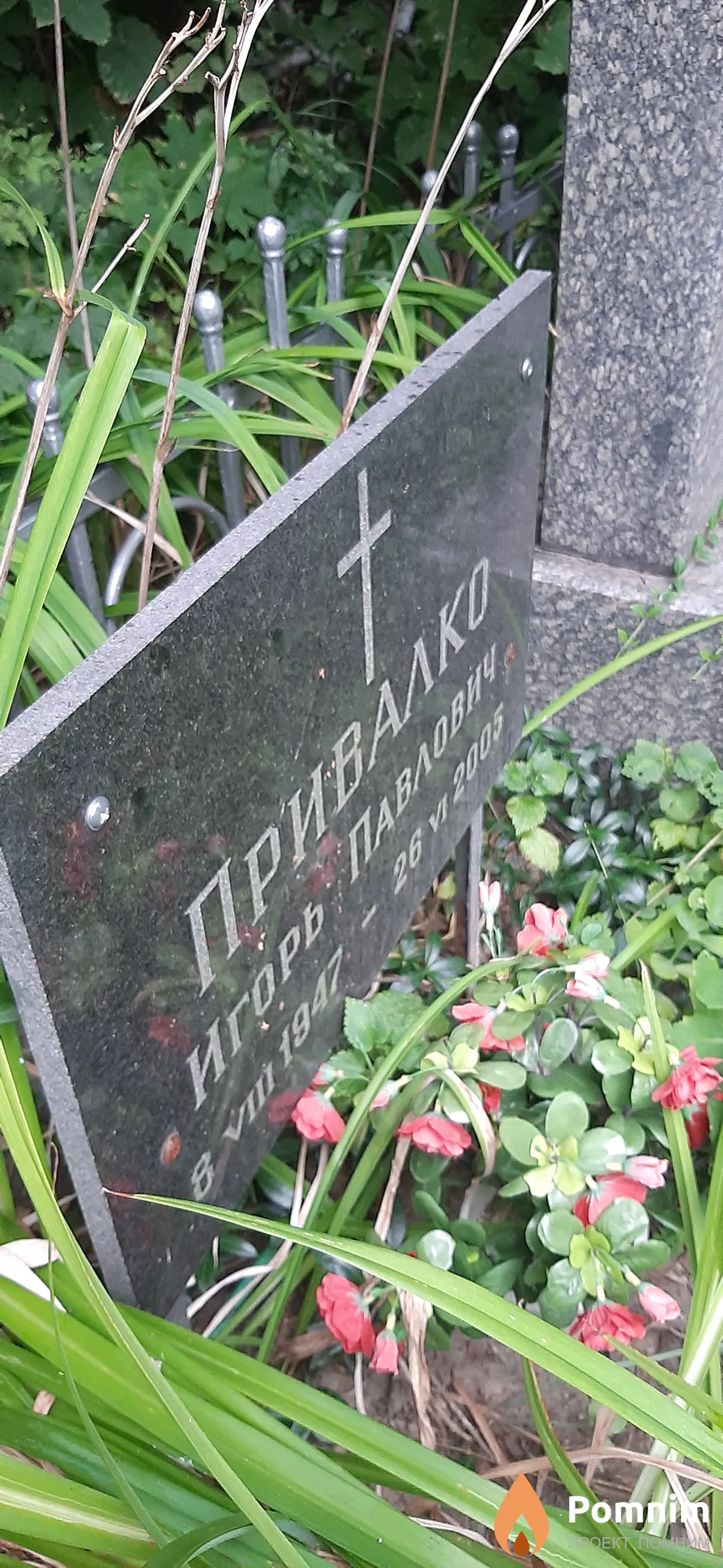 Привалко Игорь Павлович