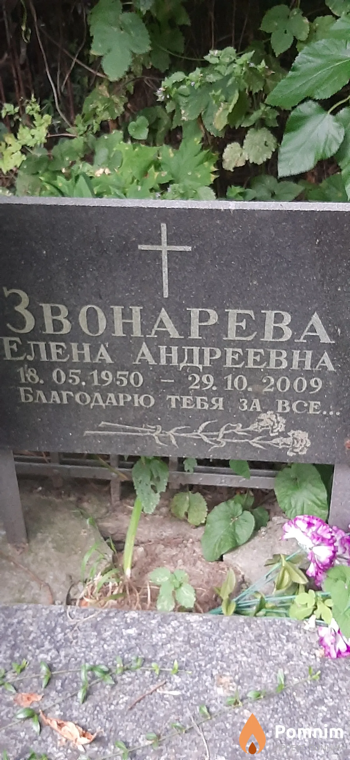 Звонарева Елена Андреевна