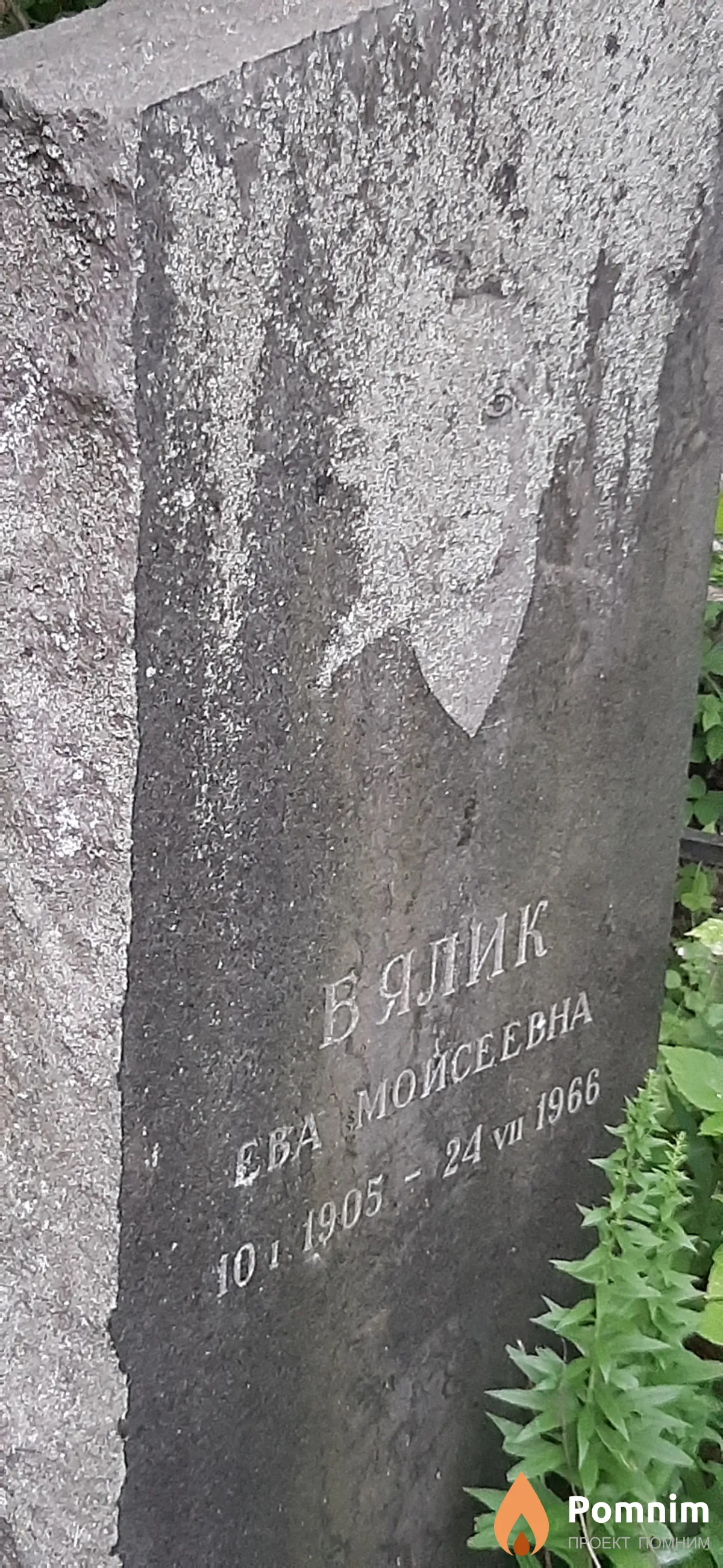 Вялик Ева Моисеевна