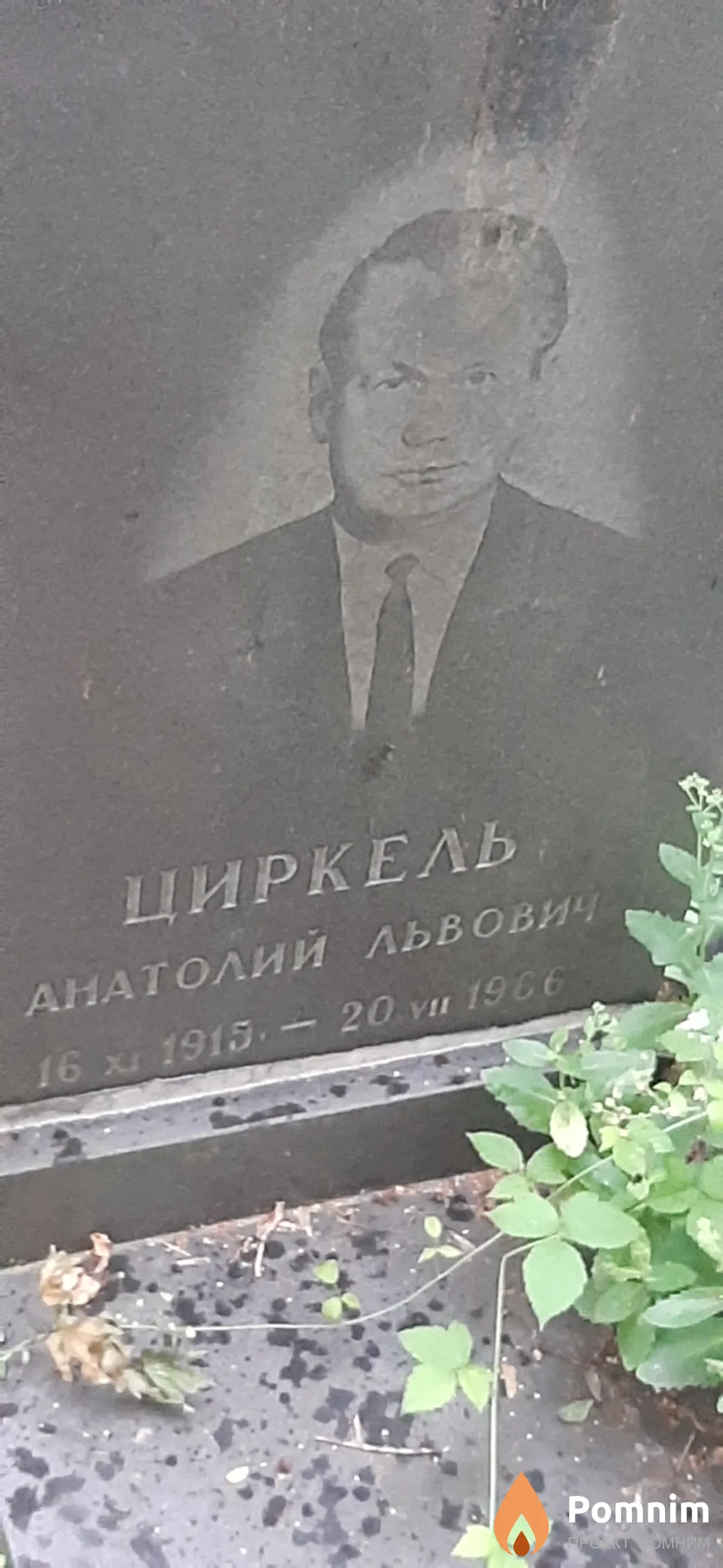 Циркель Анатолий Львович