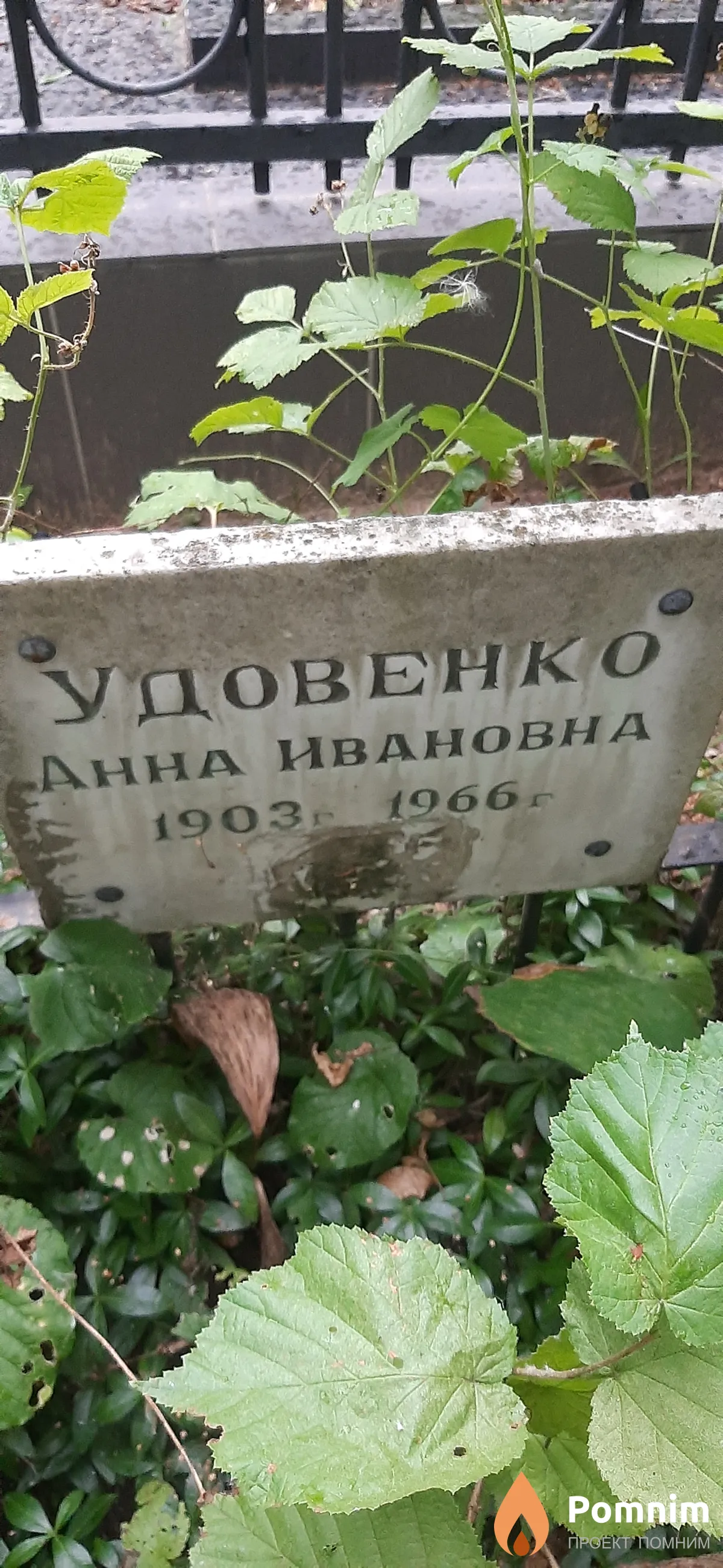 Удовенко Анна Ивановна
