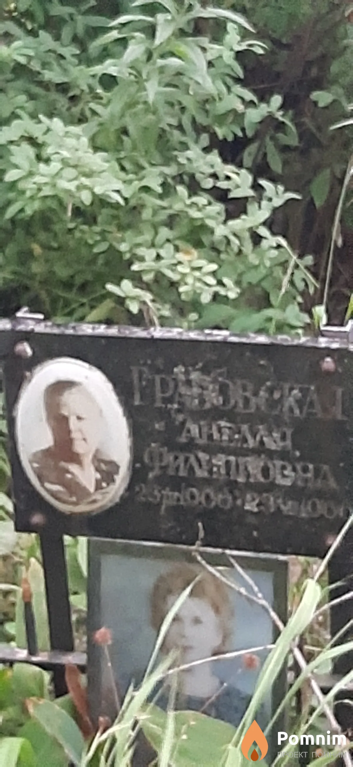 Гравовская Анелля Филиповна