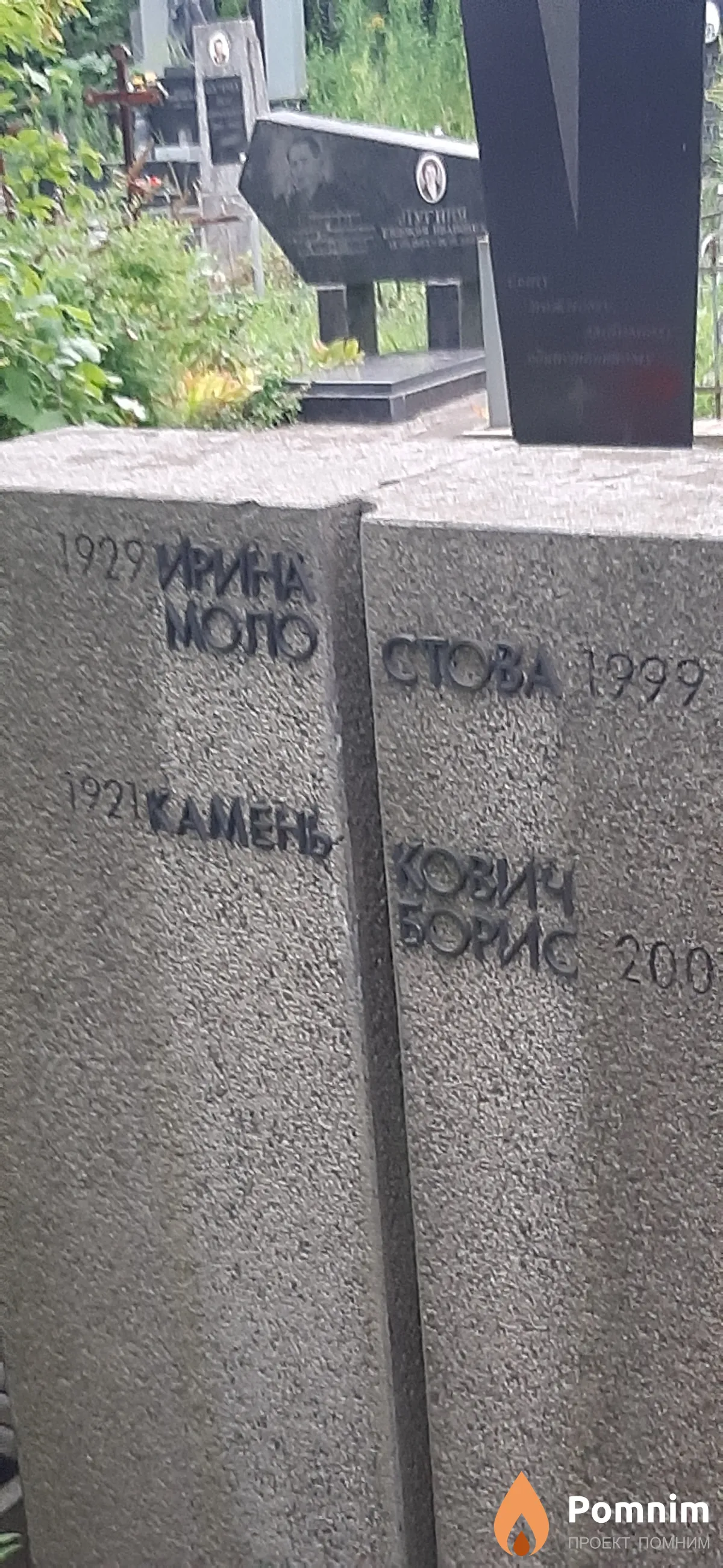 Молостова Ирина