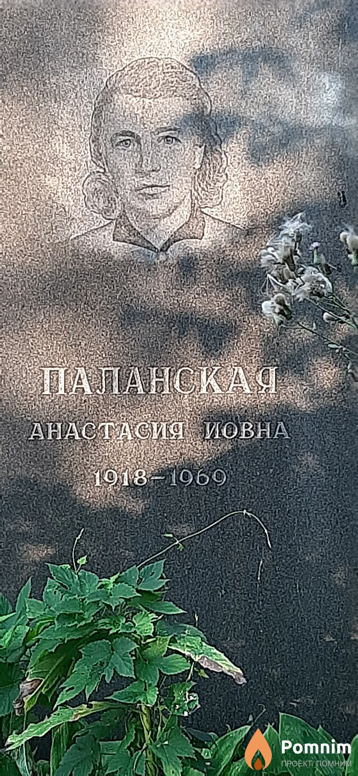 Паланская Анастасия Иковна