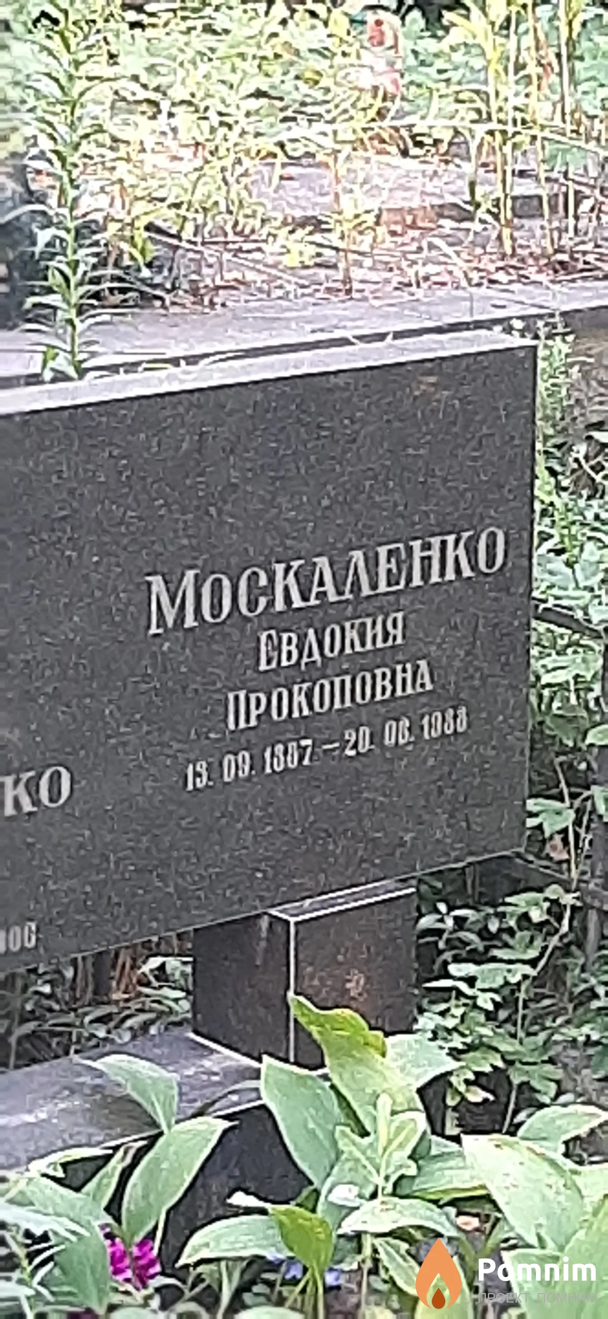 Москаленко Евдожня Прокоповна