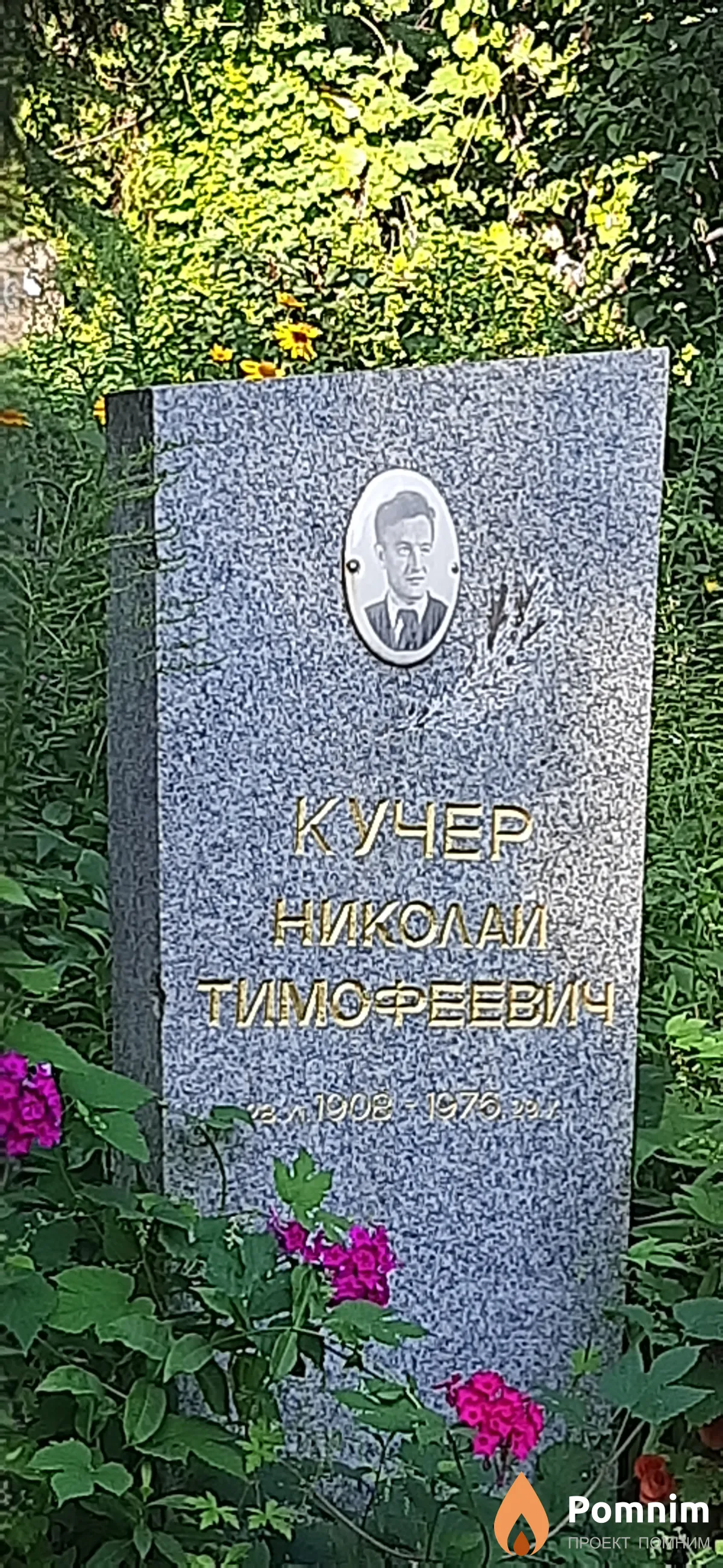 Кучер Николай Тимофеевич
