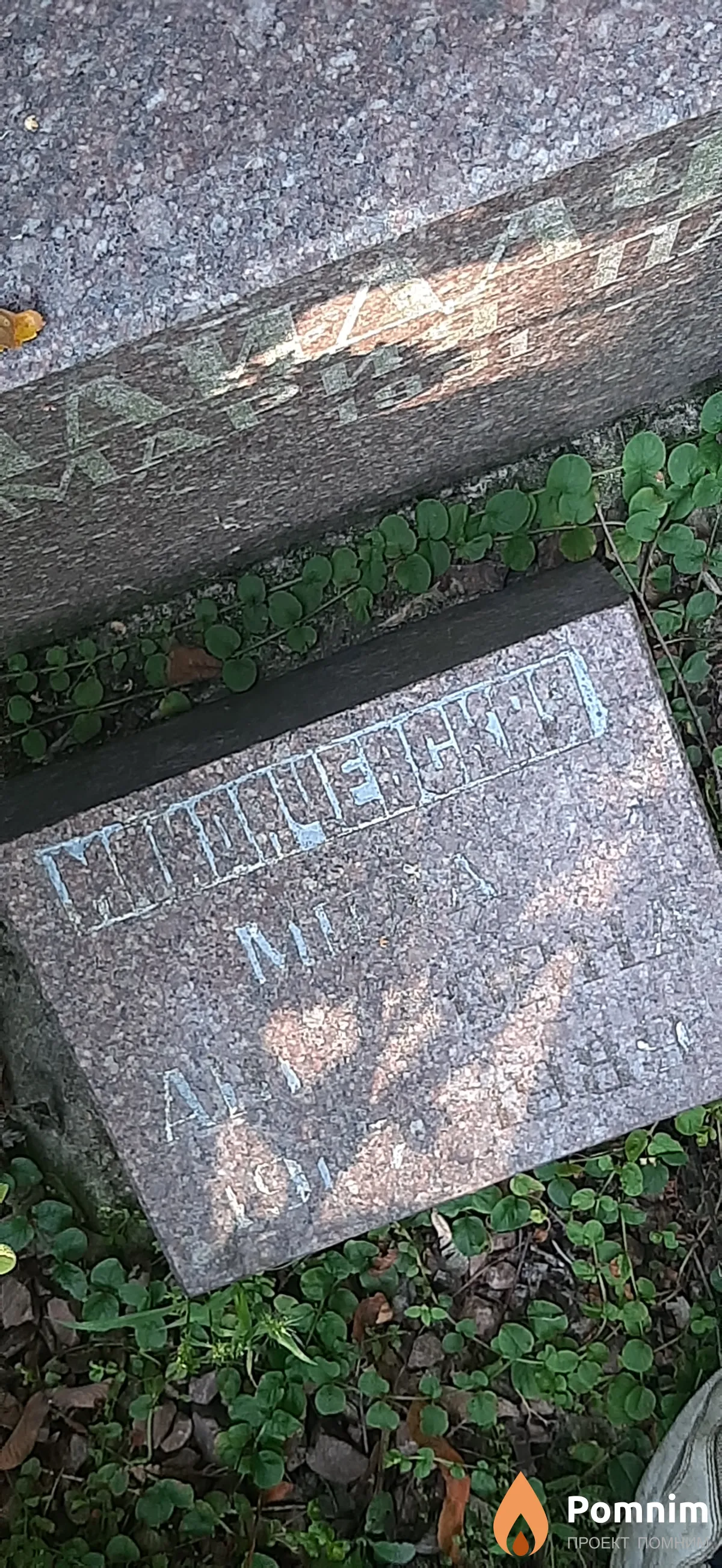 Майдачевская Мила Ангеловна