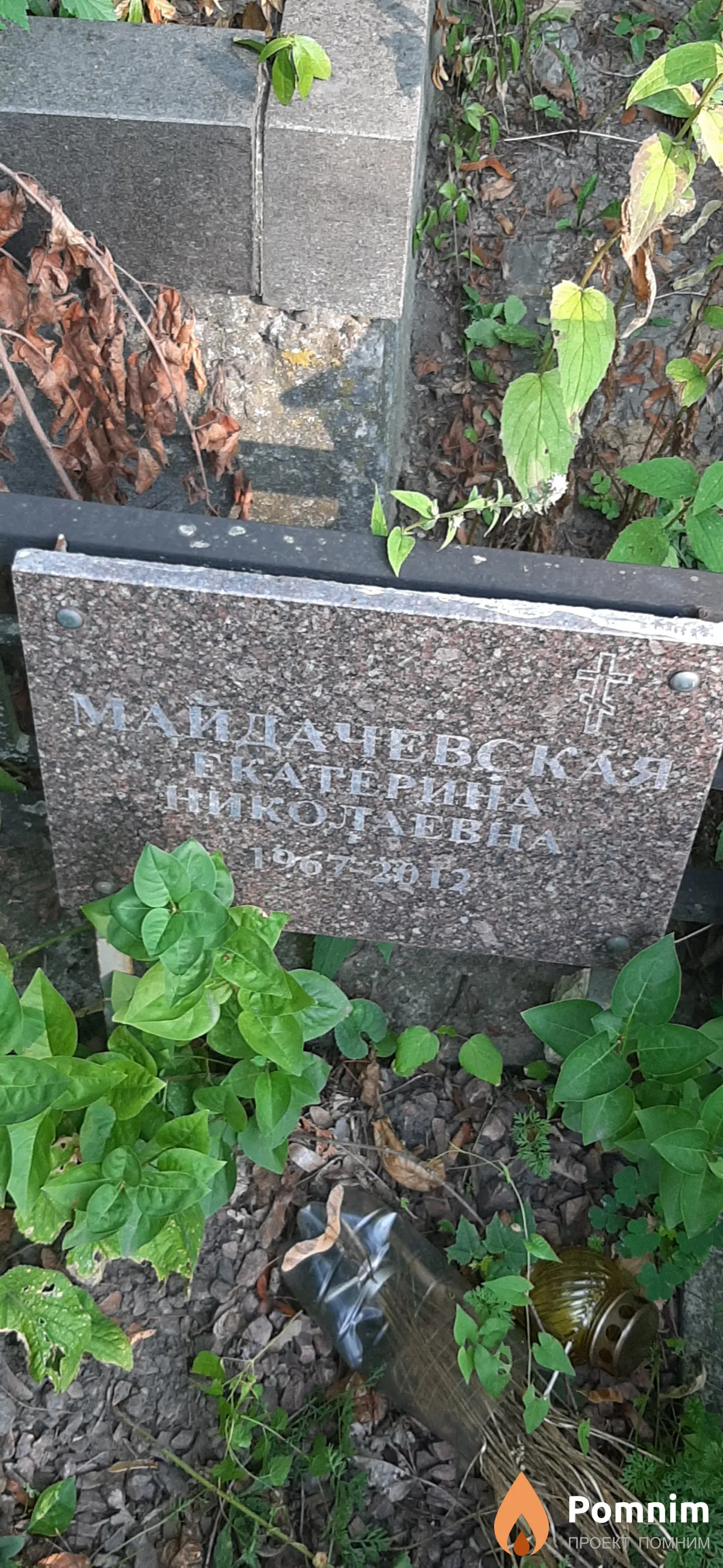 Майдачевская Екатерина Николаевна