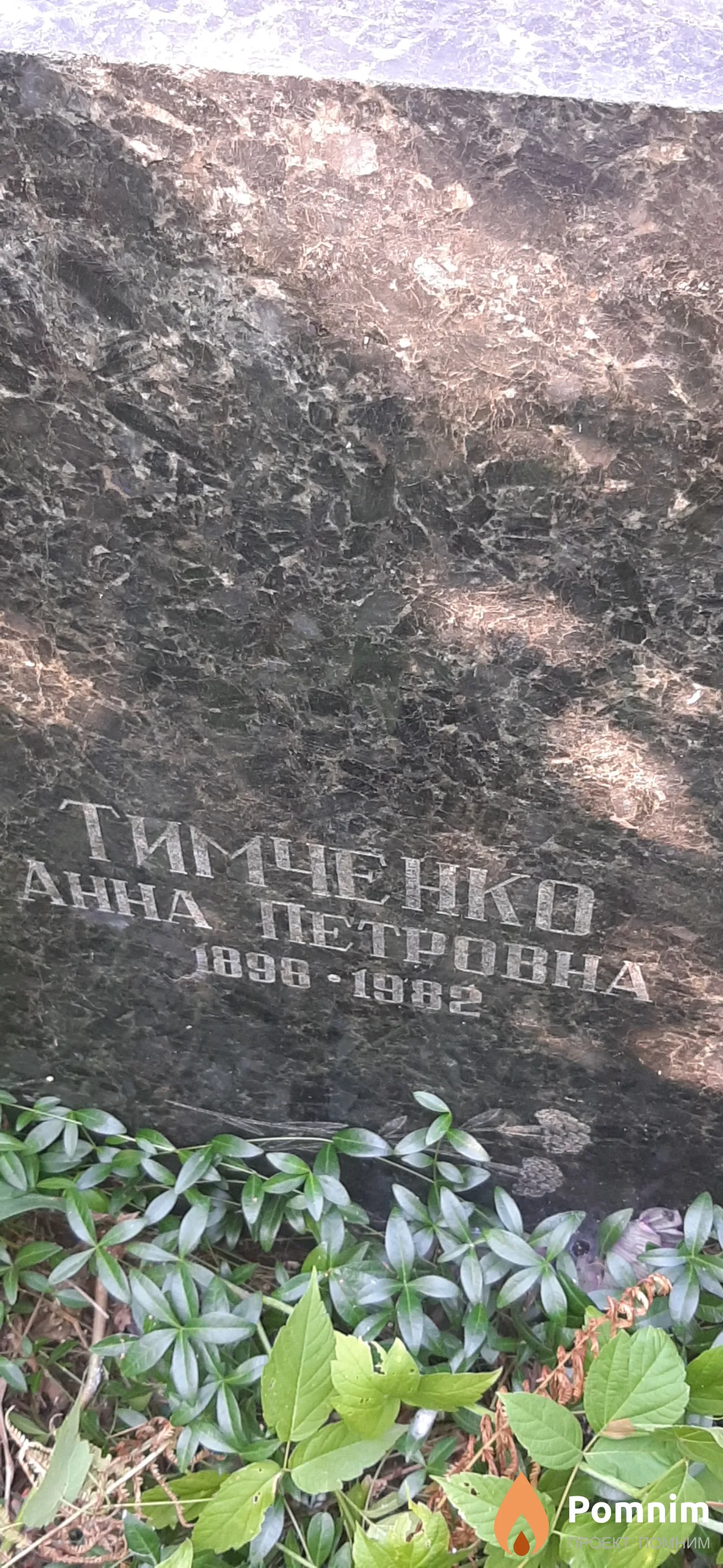Тимченко Анна Петровна