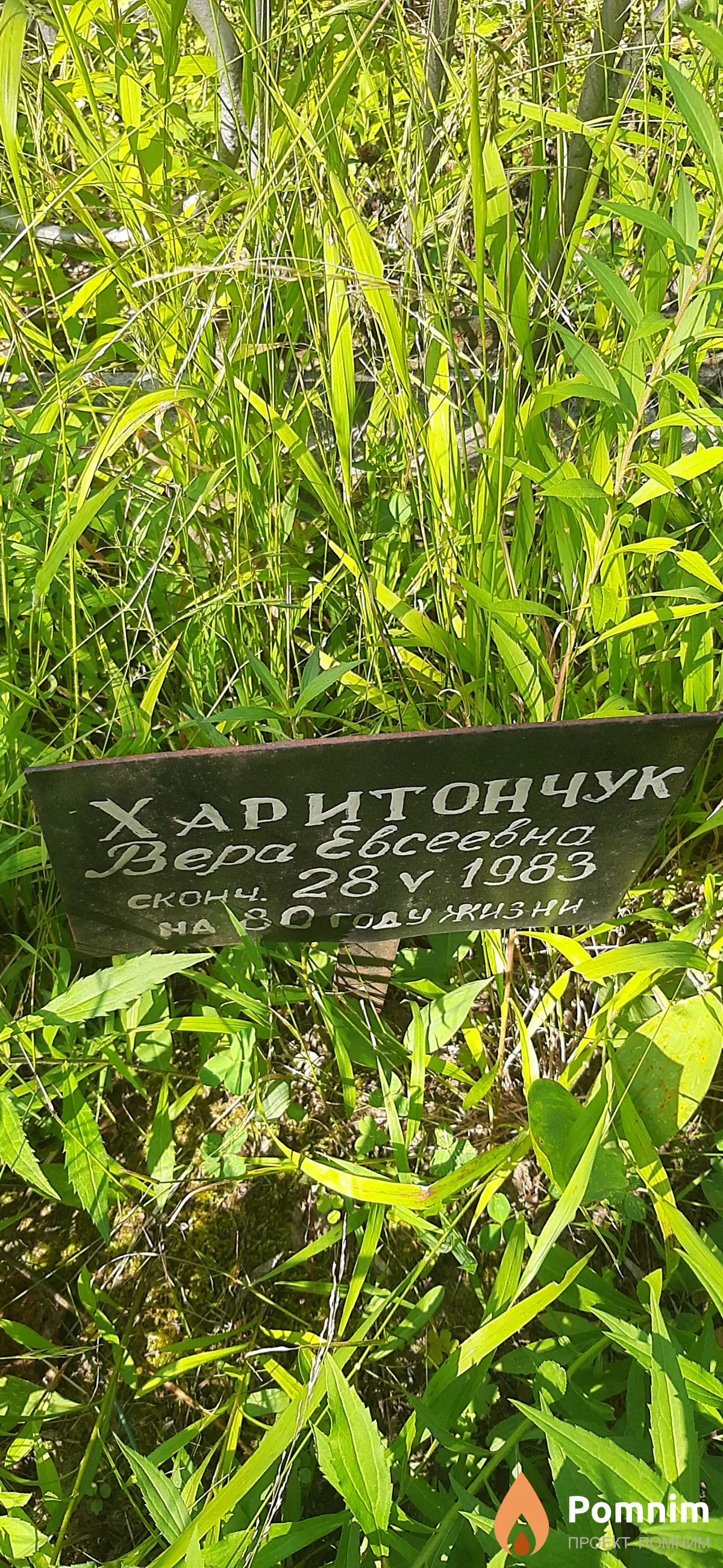 Харитончук Евсеевна Бсеевна