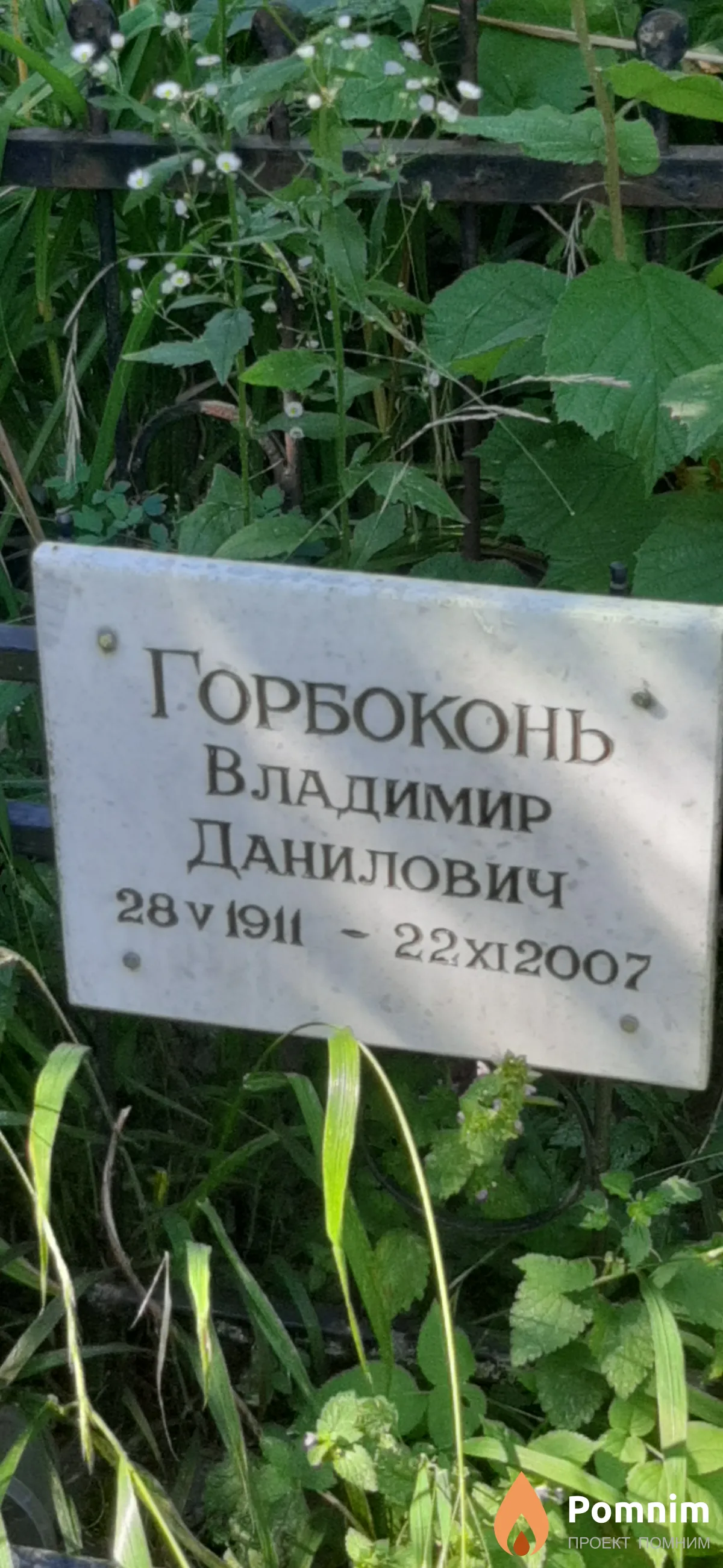 Горбоконь Владимир Данилович