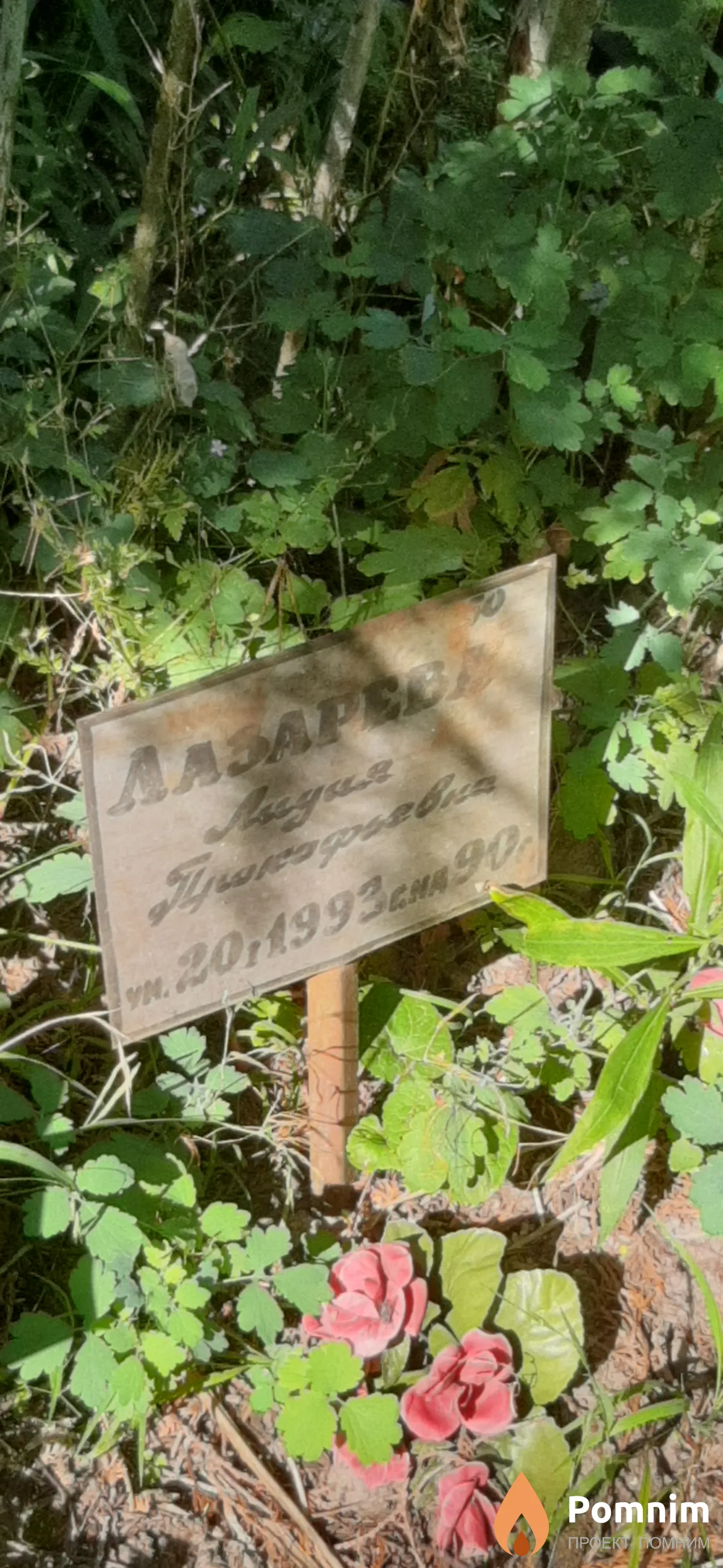 Лазарева Лиуня Прокофьевна