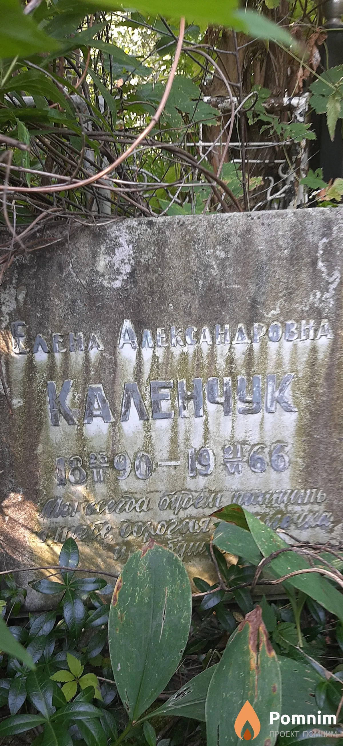 Каленчук Елена Александровна