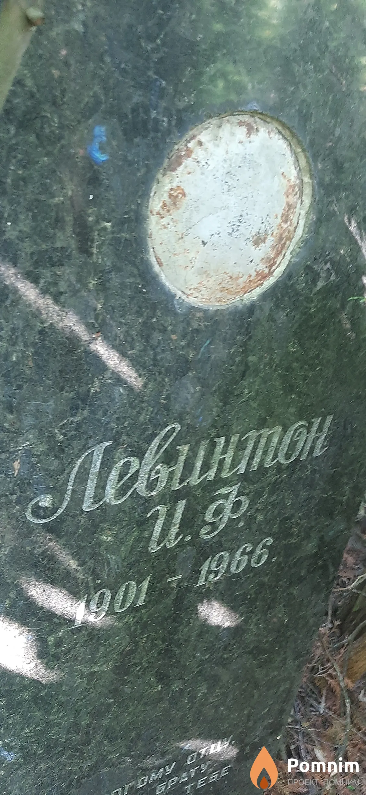 Левинтон И. Ф.