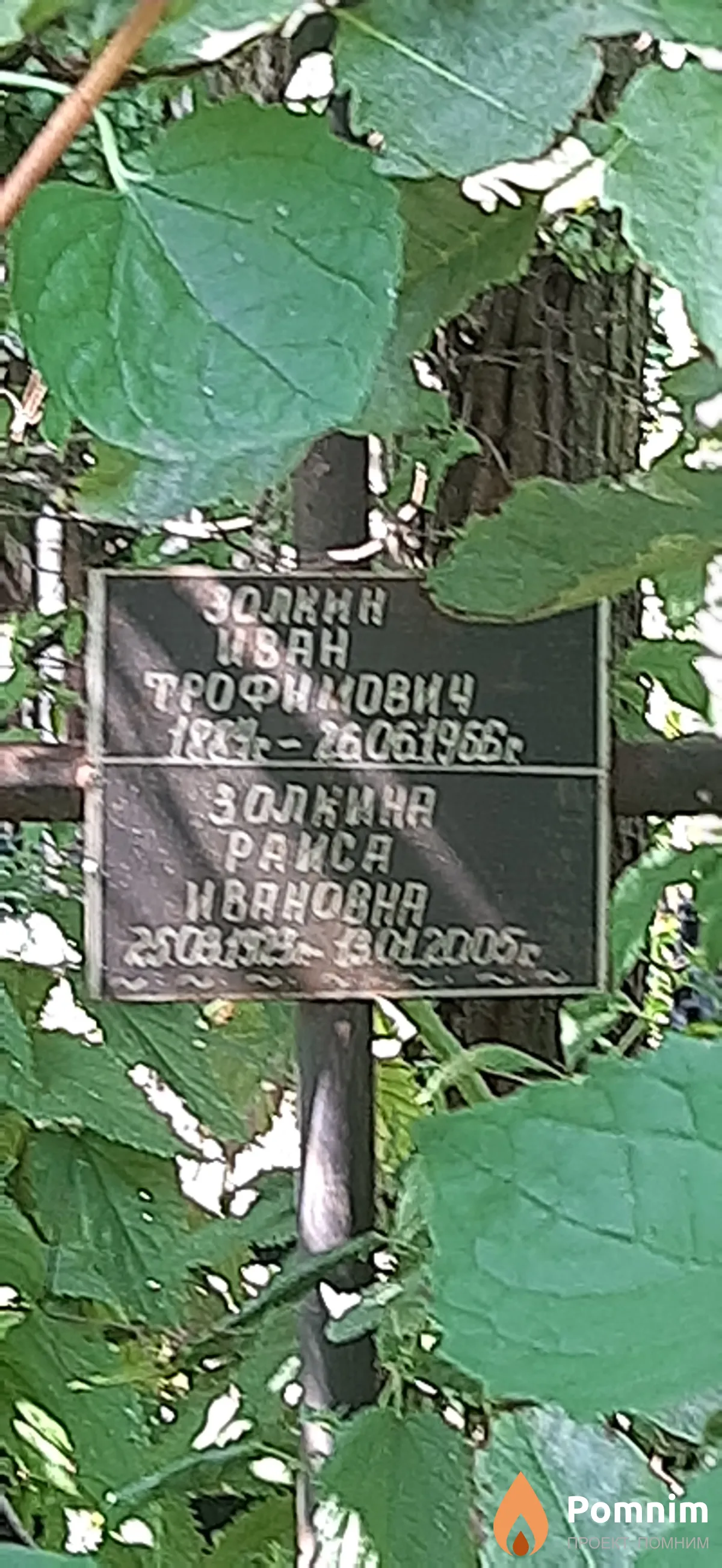 Золкина Раиса Ивановна